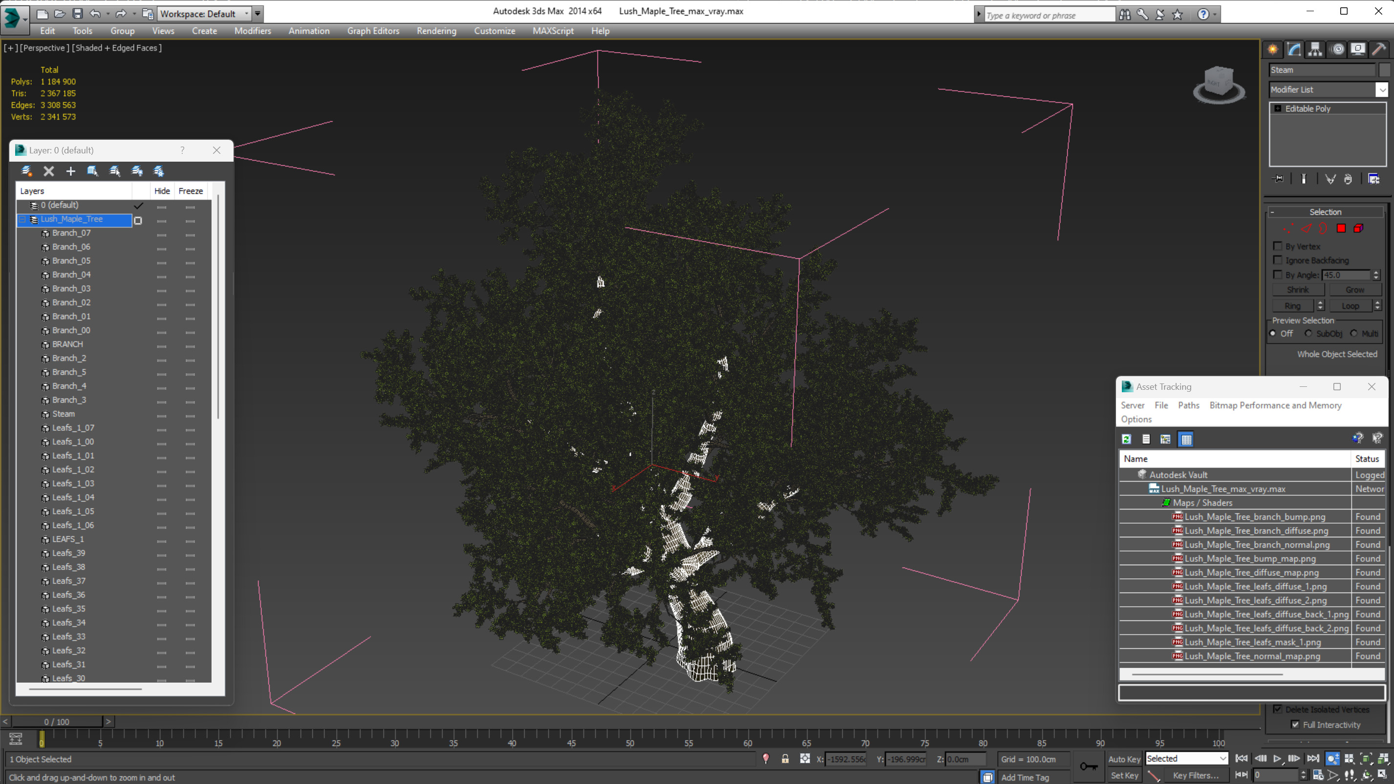 3D model Lush Maple Tree