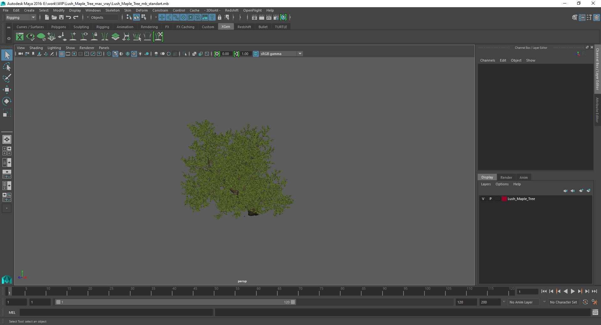 3D model Lush Maple Tree