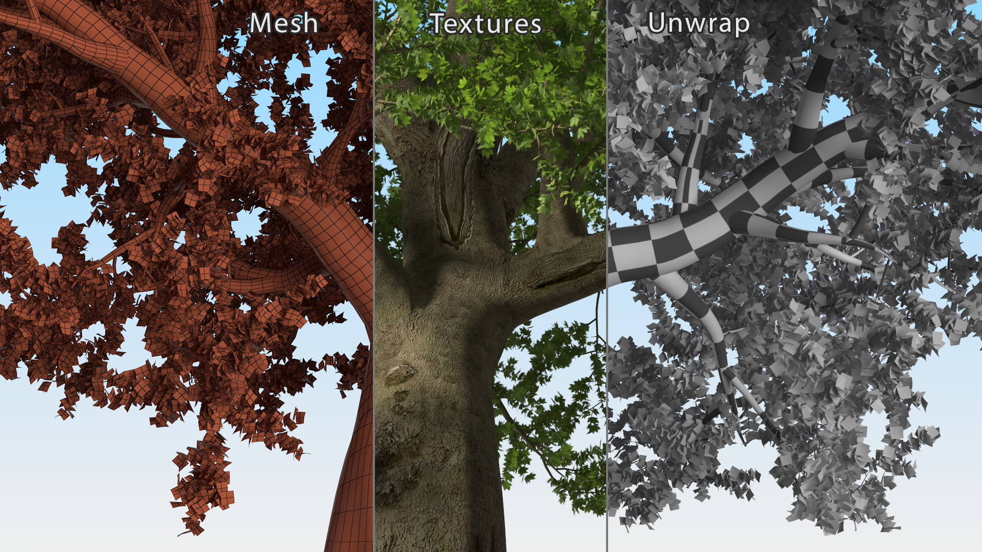3D model Lush Maple Tree