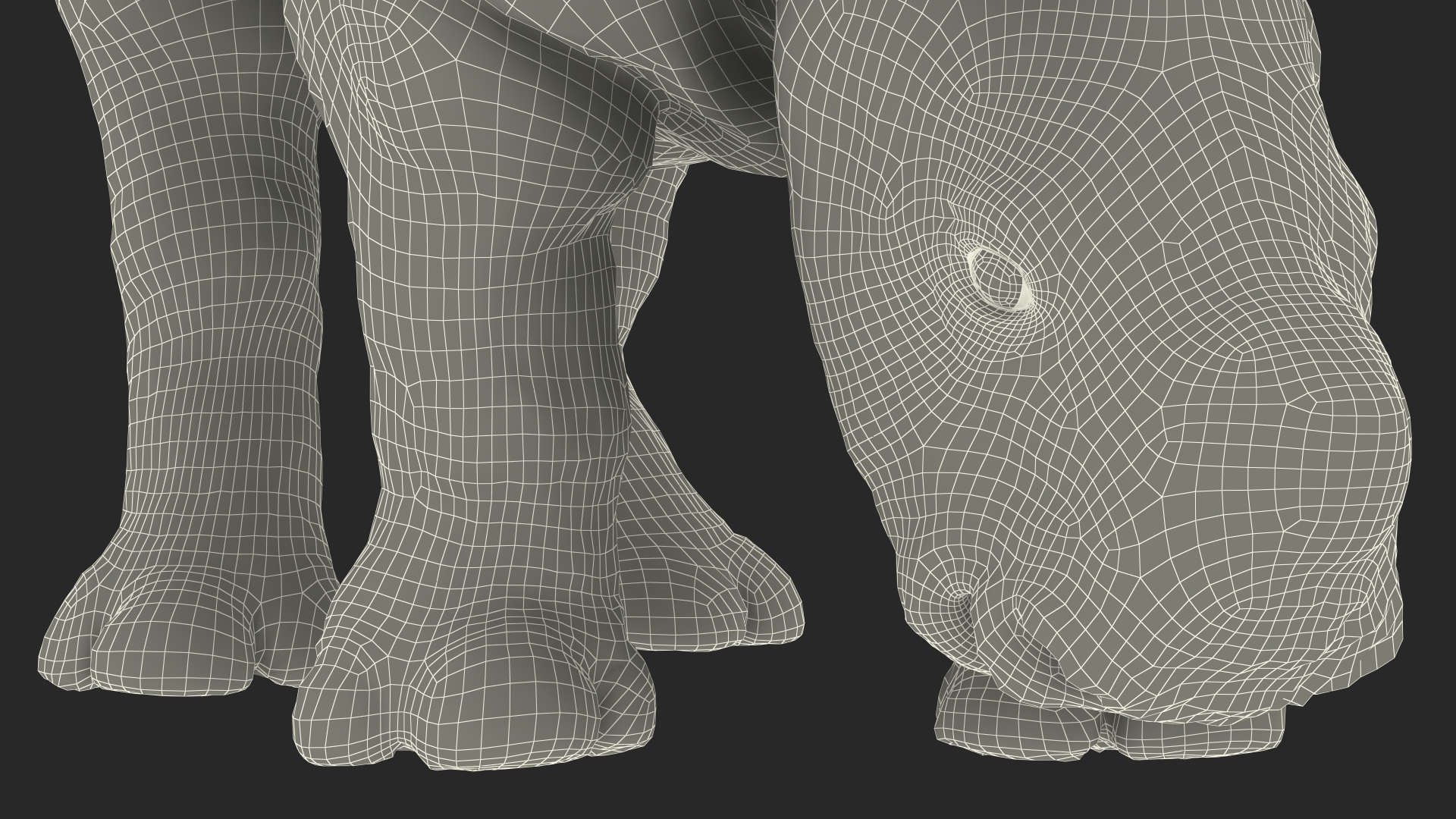 3D Baby Rhino Drinking Pose Fur model