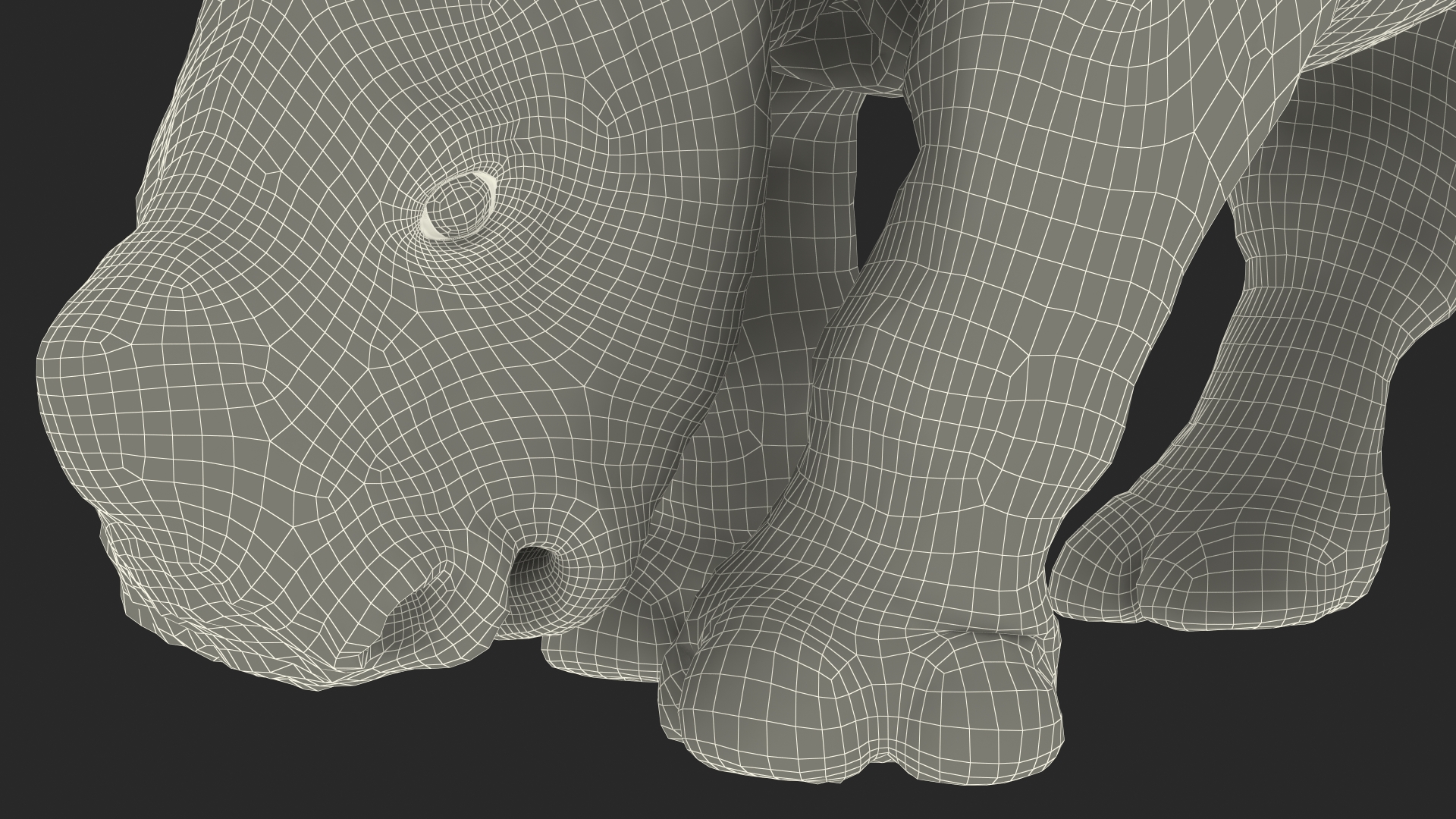 3D Baby Rhino Drinking Pose Fur model