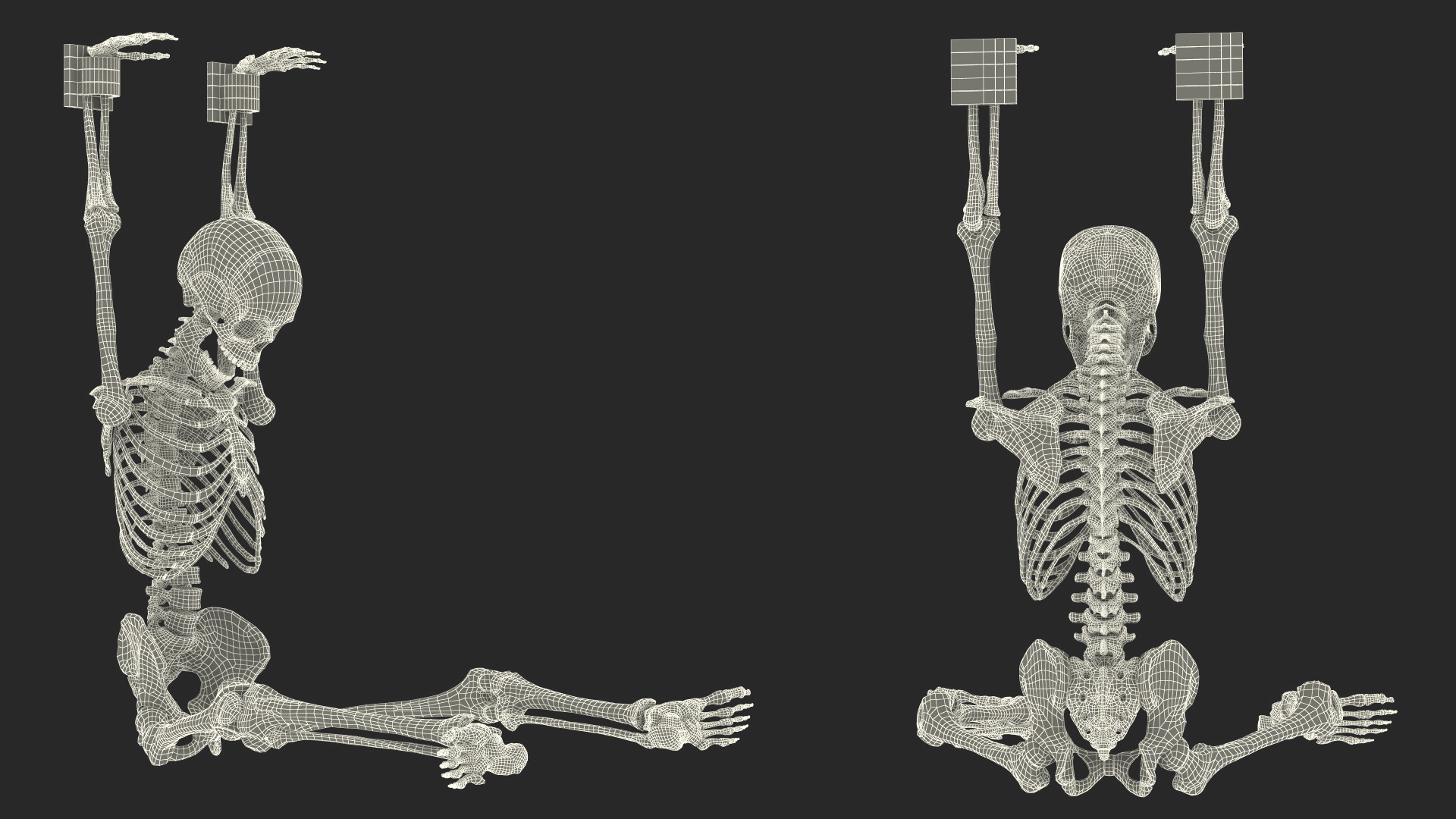 3D Human Male Skeleton Shackled model