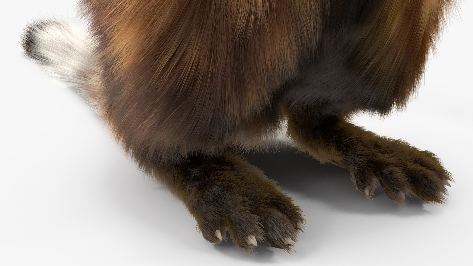 3D model Vormela Peregusna Stands on His Hind Legs Fur