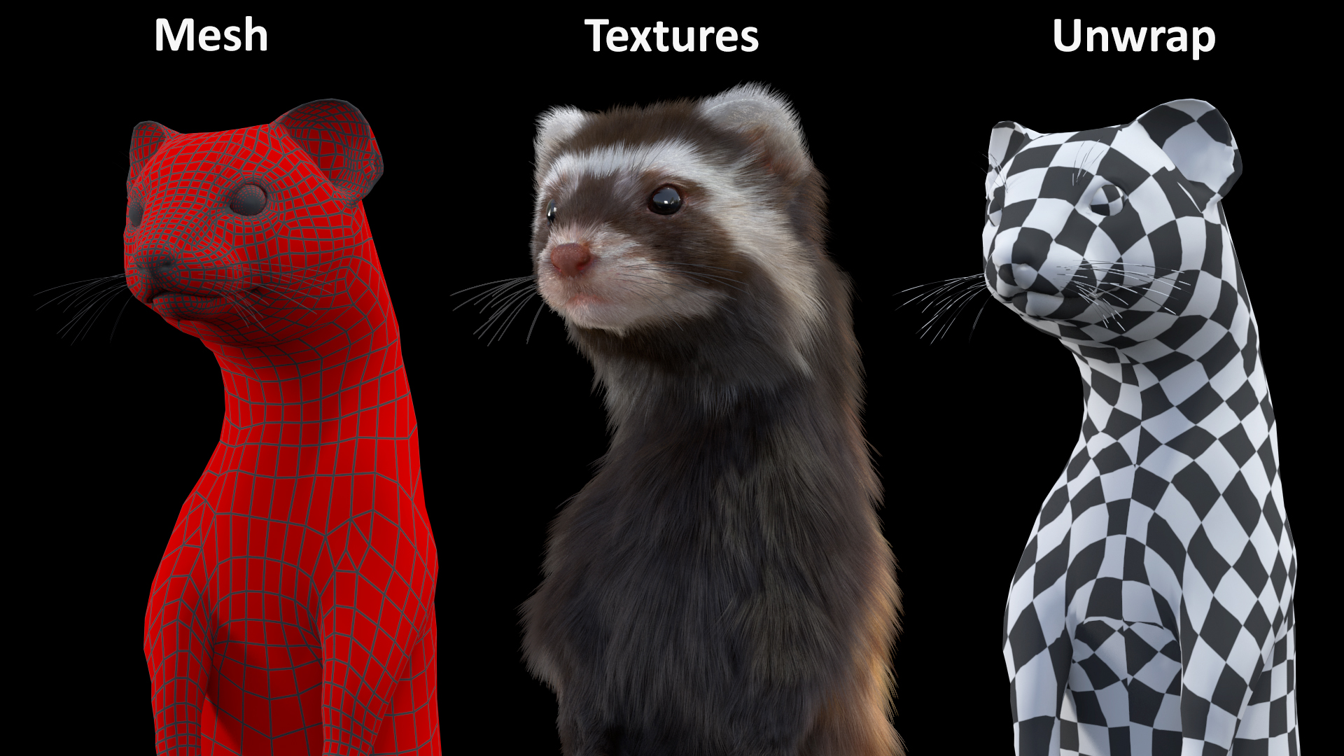 3D model Vormela Peregusna Stands on His Hind Legs Fur