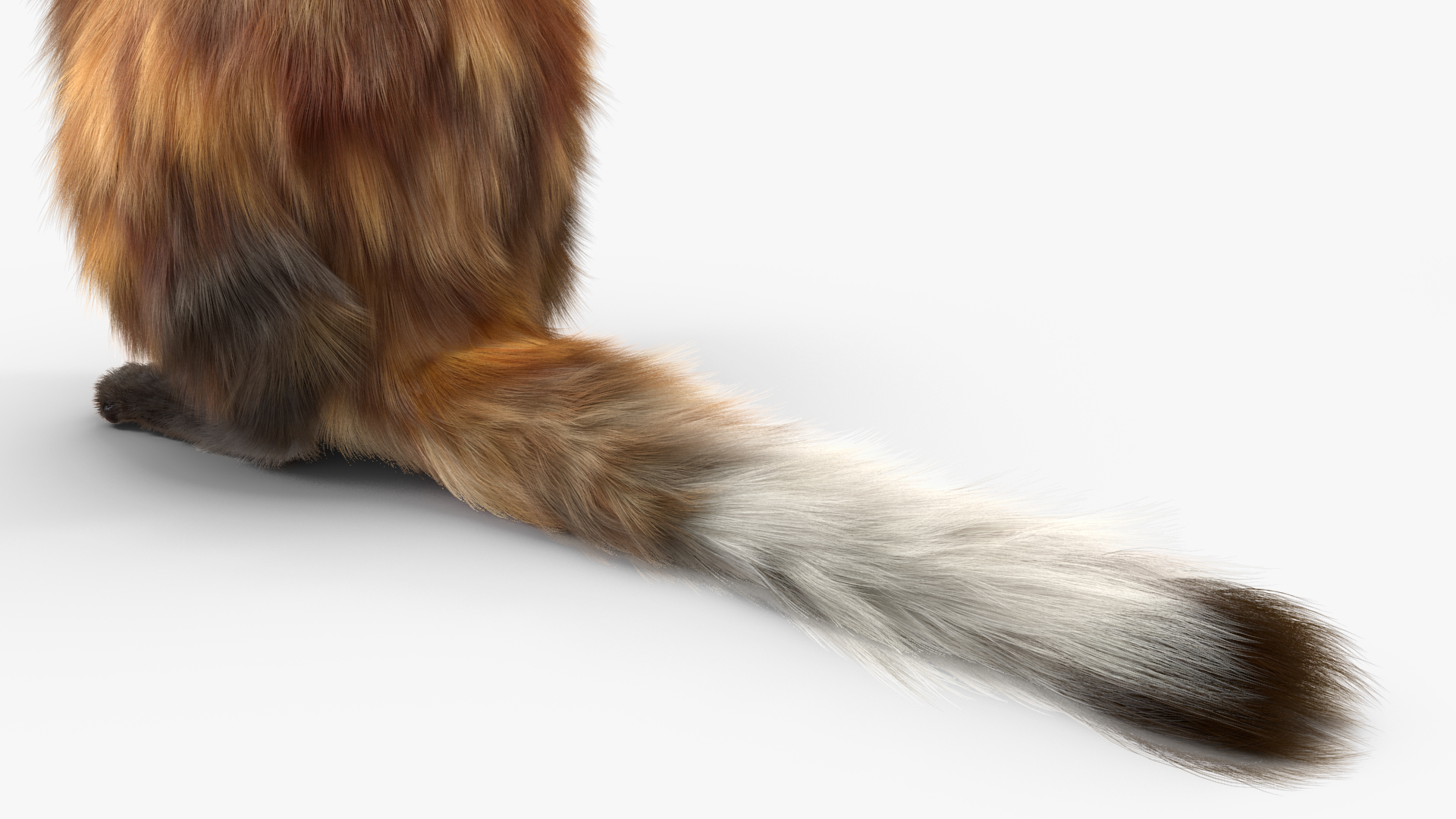 3D model Vormela Peregusna Stands on His Hind Legs Fur
