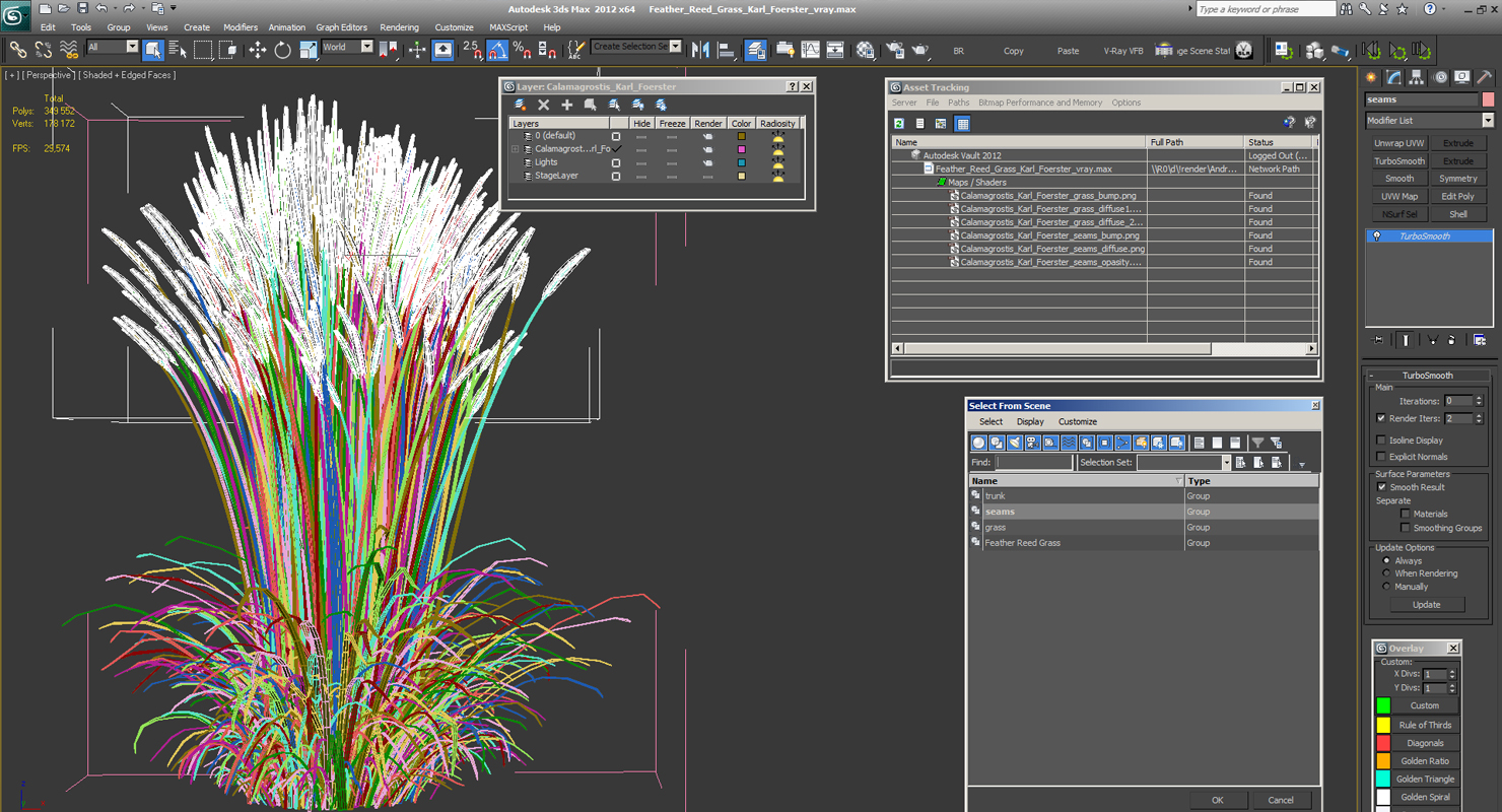 Feather Reed Grass Karl Foerster 3D