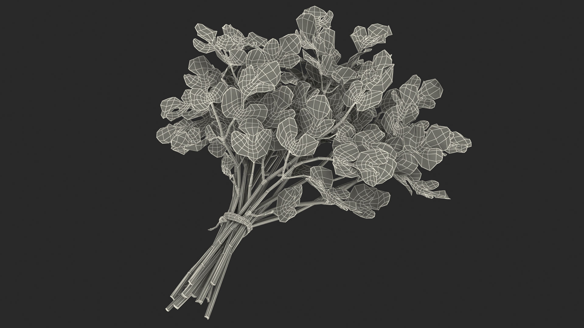 3D Cilantro Bunch With Rope Fur model