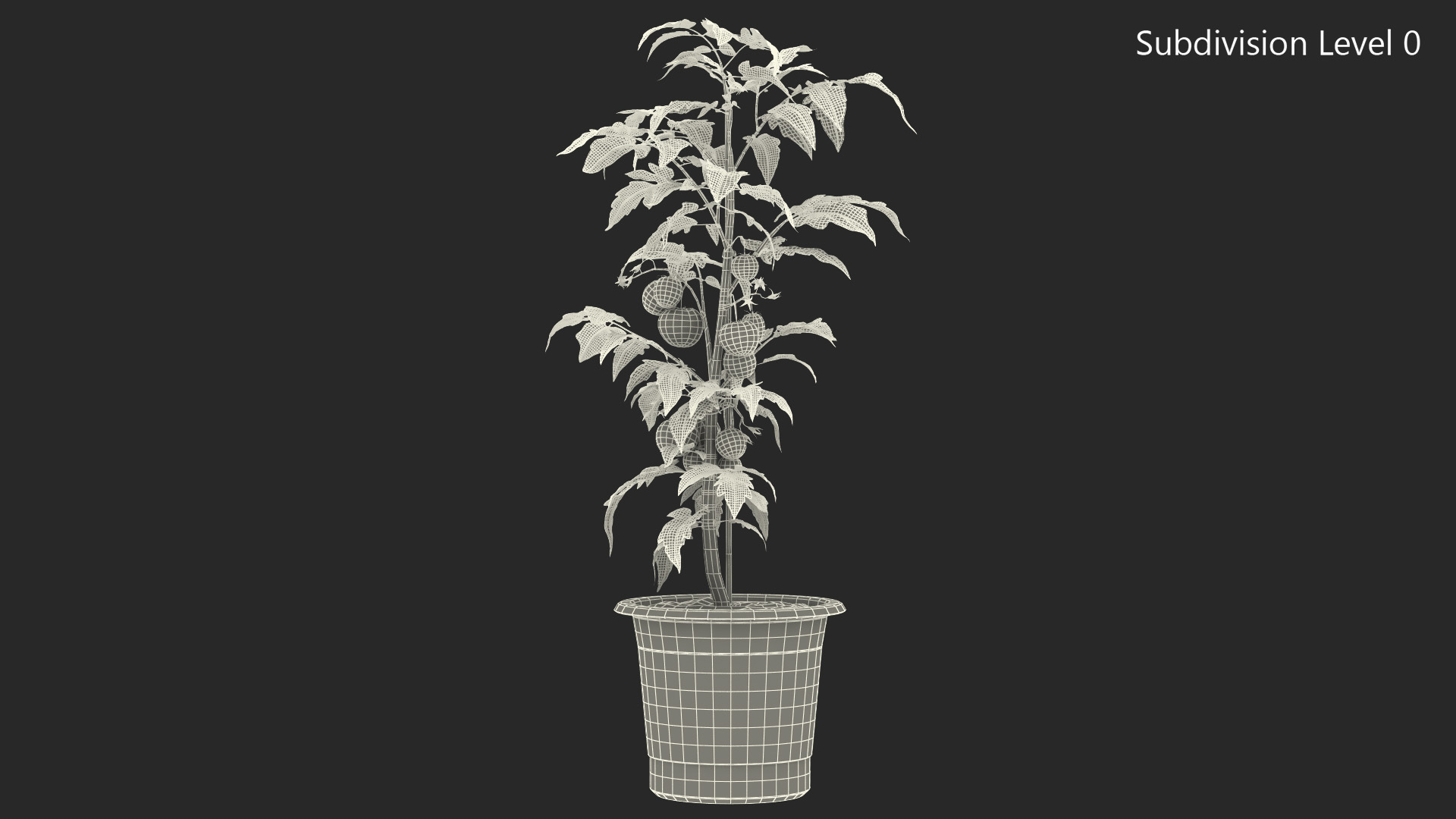 3D Ripe Tomatoes Fruits and Flowers in Pot Fur model