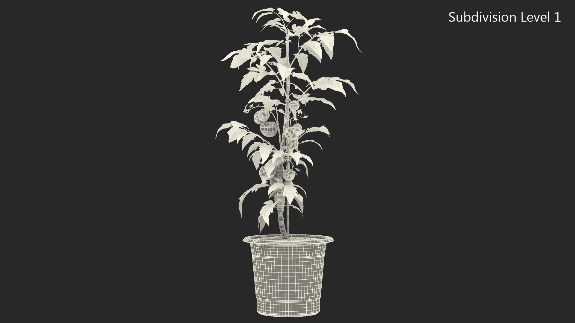 3D Ripe Tomatoes Fruits and Flowers in Pot Fur model