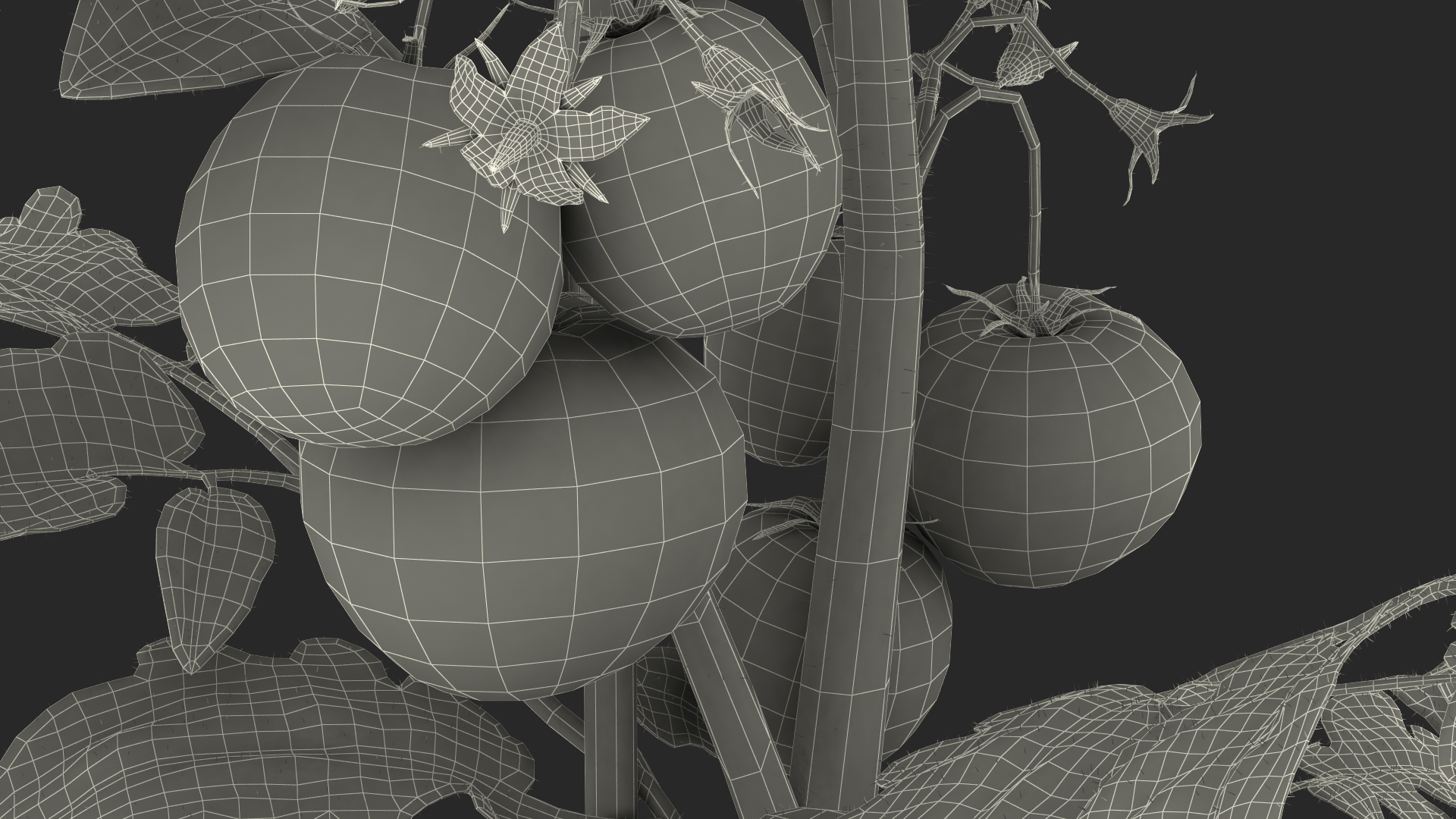 3D Ripe Tomatoes Fruits and Flowers in Pot Fur model