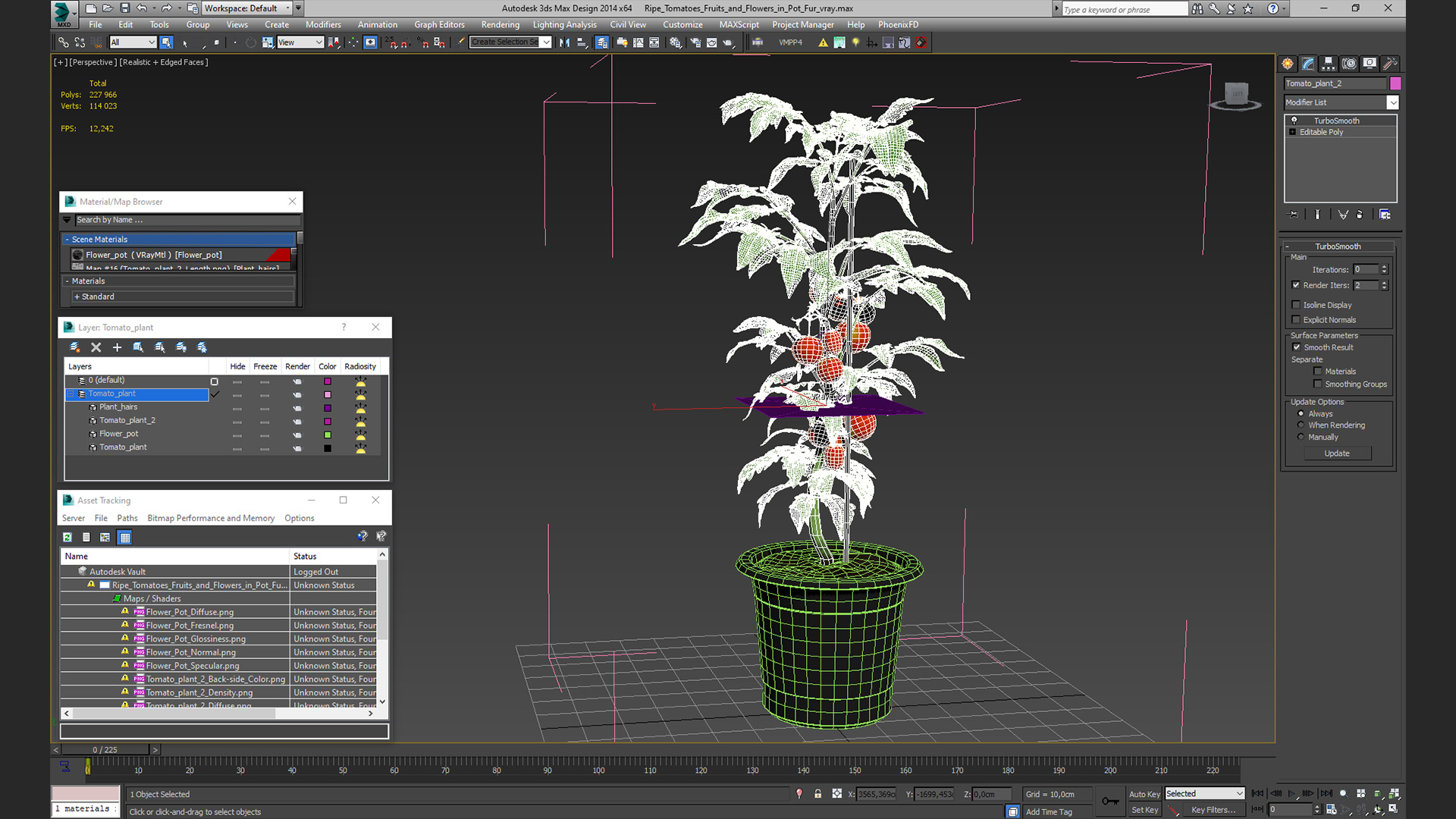 3D Ripe Tomatoes Fruits and Flowers in Pot Fur model