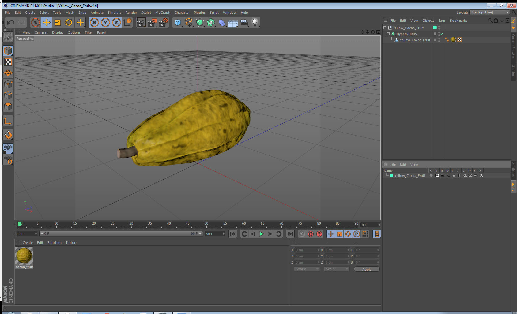 3D Yellow Cocoa Fruit model