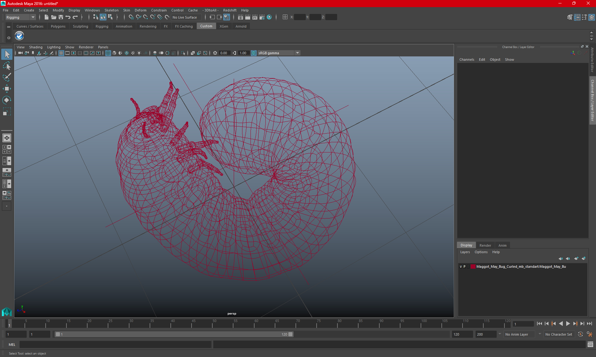 3D Maggot May Bug Curled