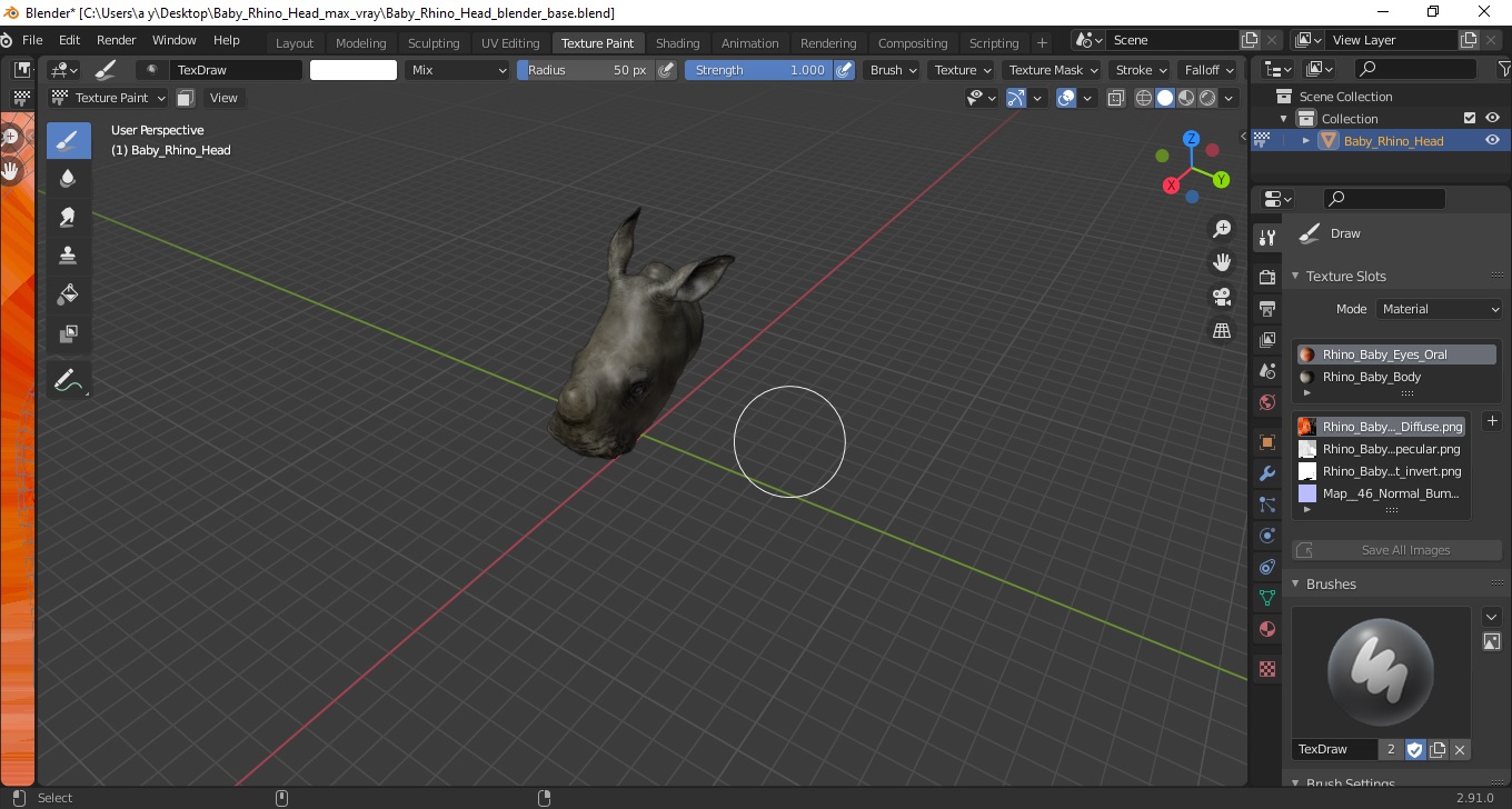 3D model Baby Rhino Head