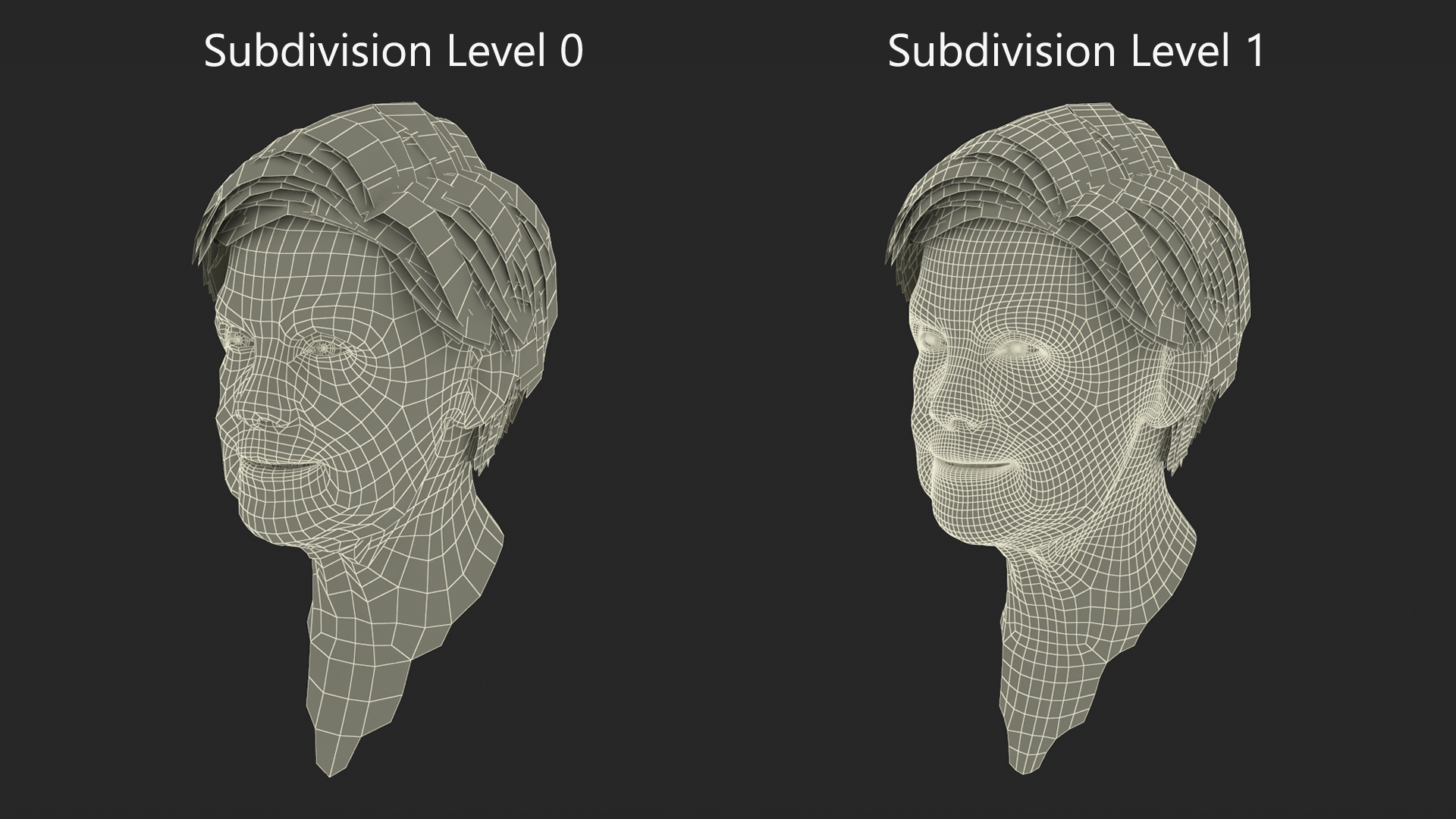 Older Womens Head 3D