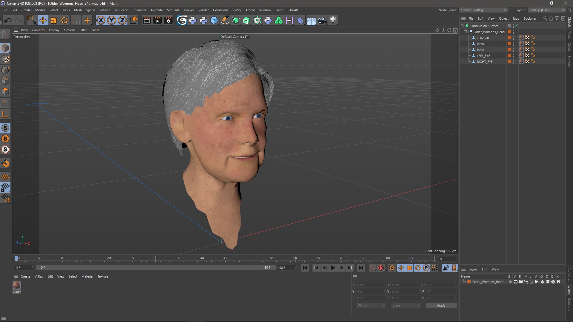 Older Womens Head 3D
