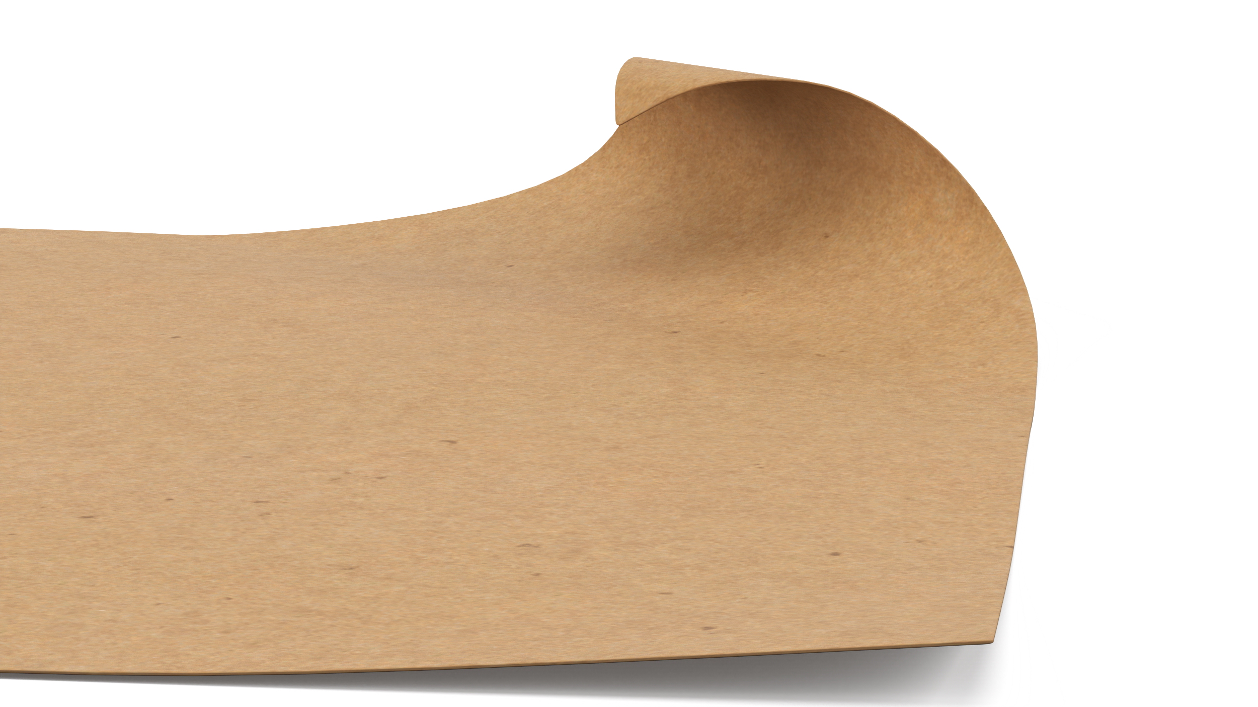 3D Kraft Paper With Corner Curl model