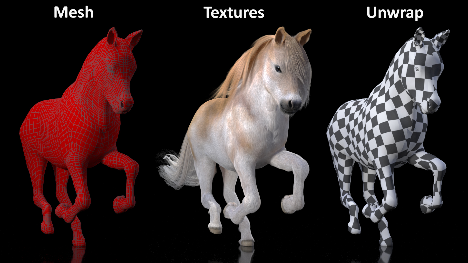 3D Galloping Pony with Long Mane Fur model