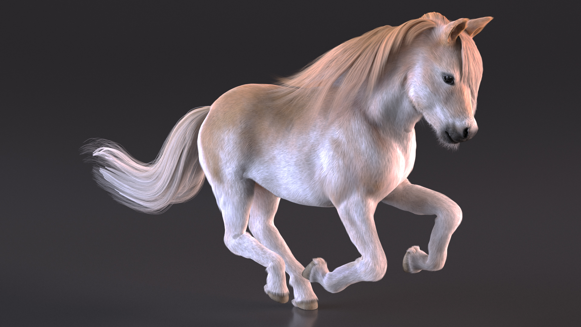 3D Galloping Pony with Long Mane Fur model