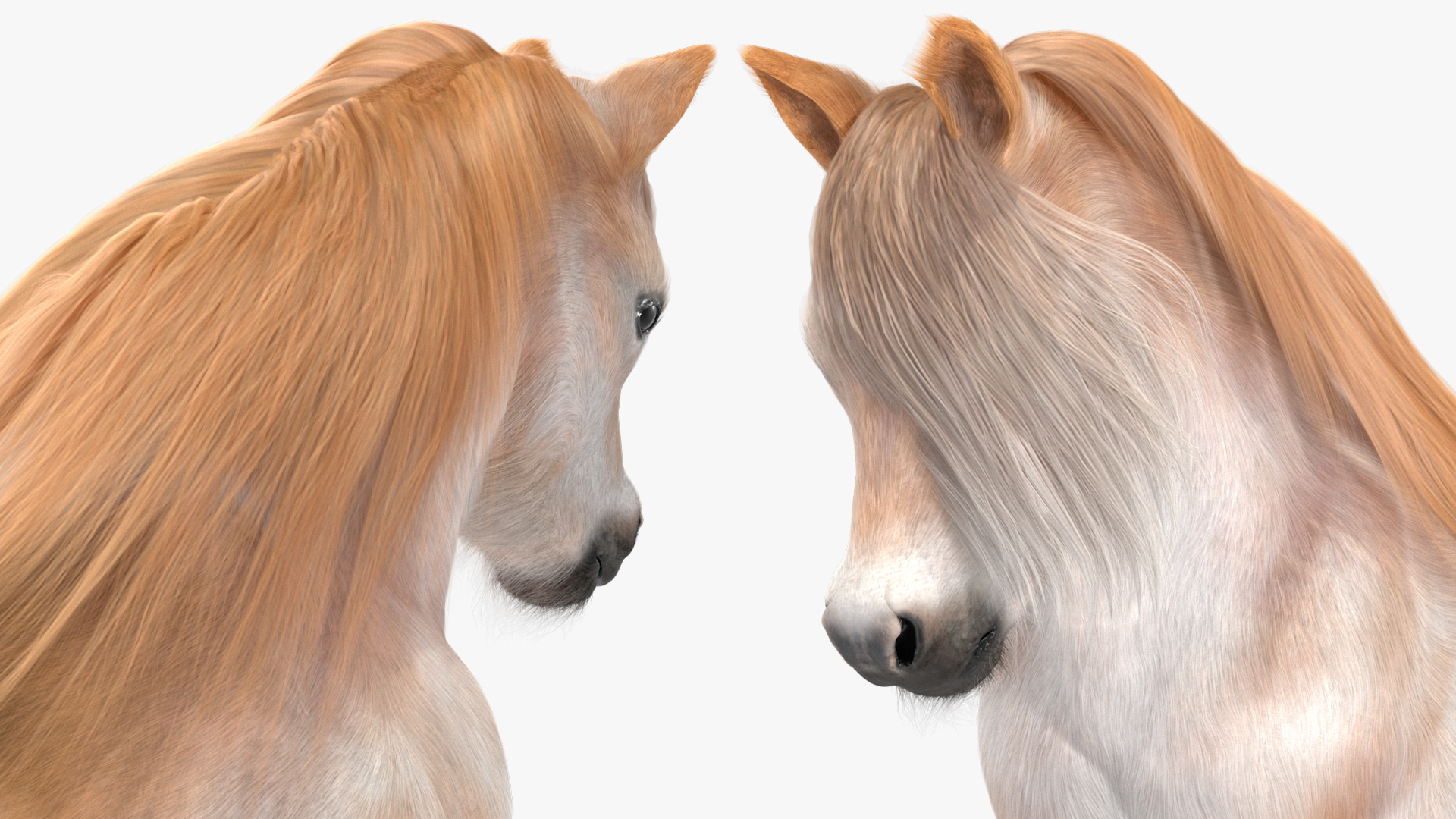 3D Galloping Pony with Long Mane Fur model