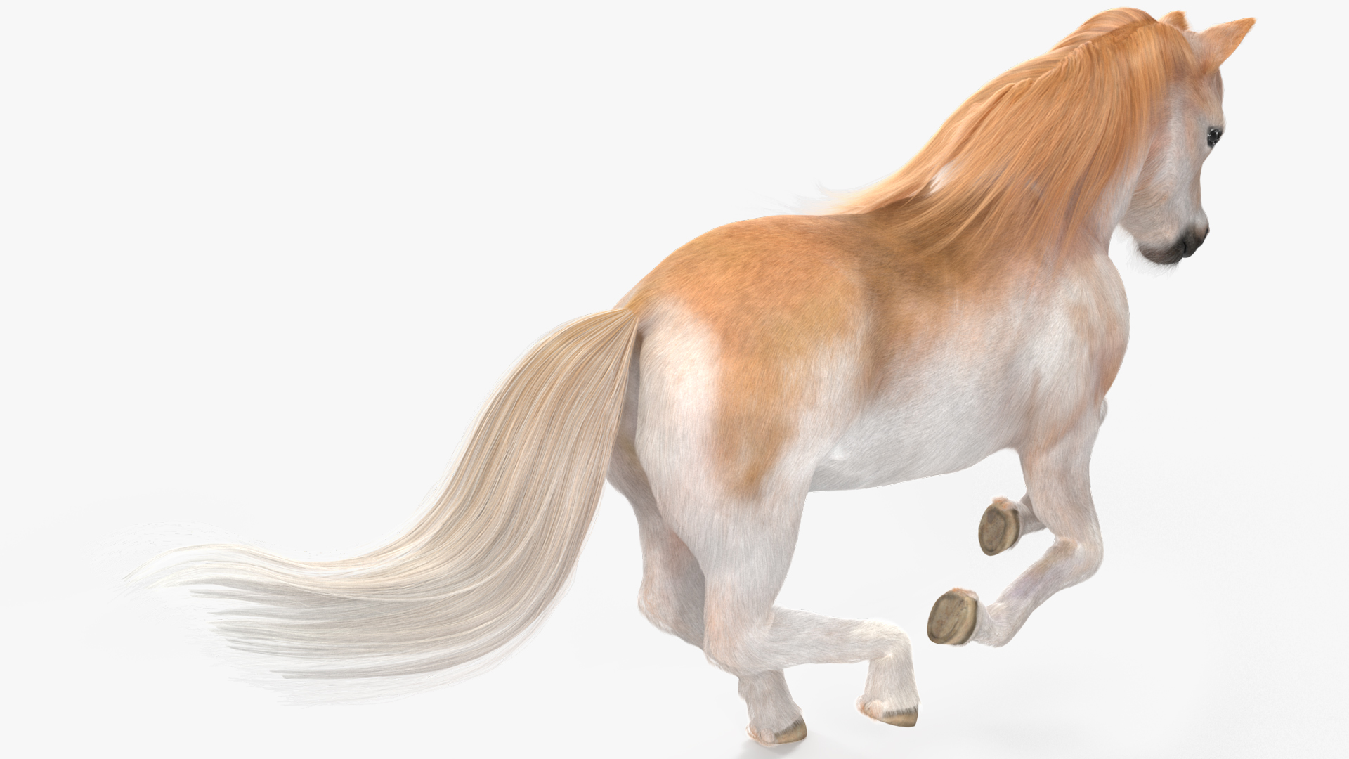3D Galloping Pony with Long Mane Fur model
