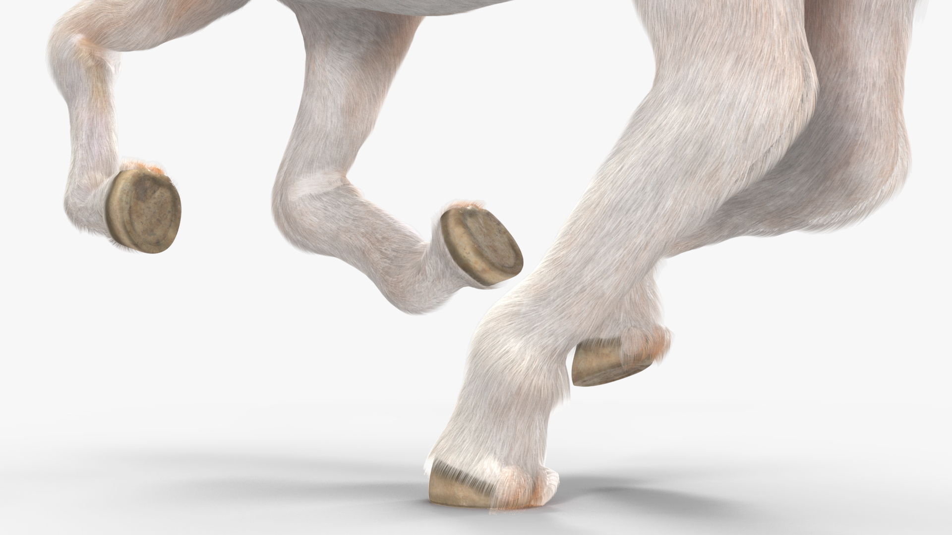 3D Galloping Pony with Long Mane Fur model