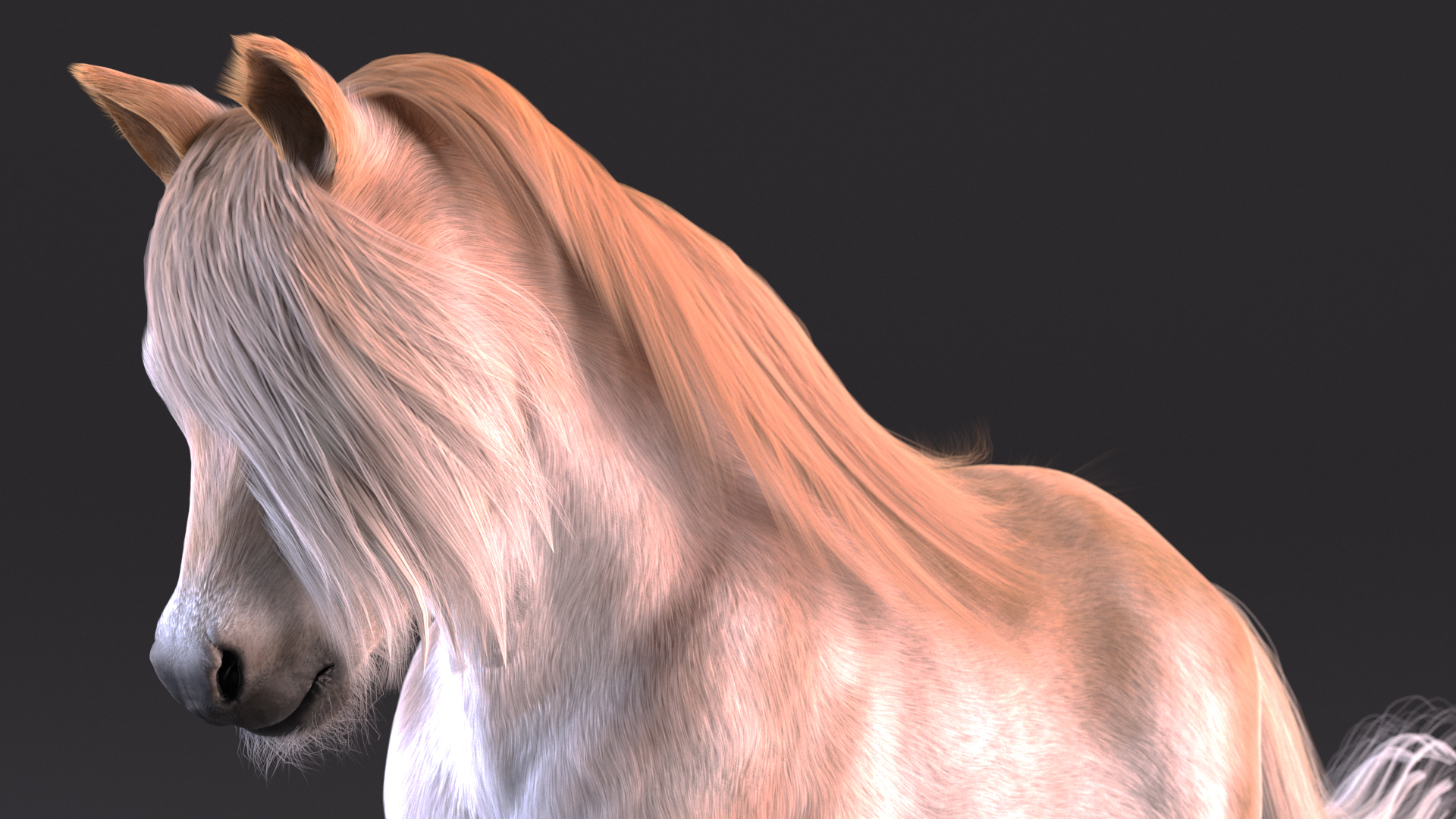 3D Galloping Pony with Long Mane Fur model