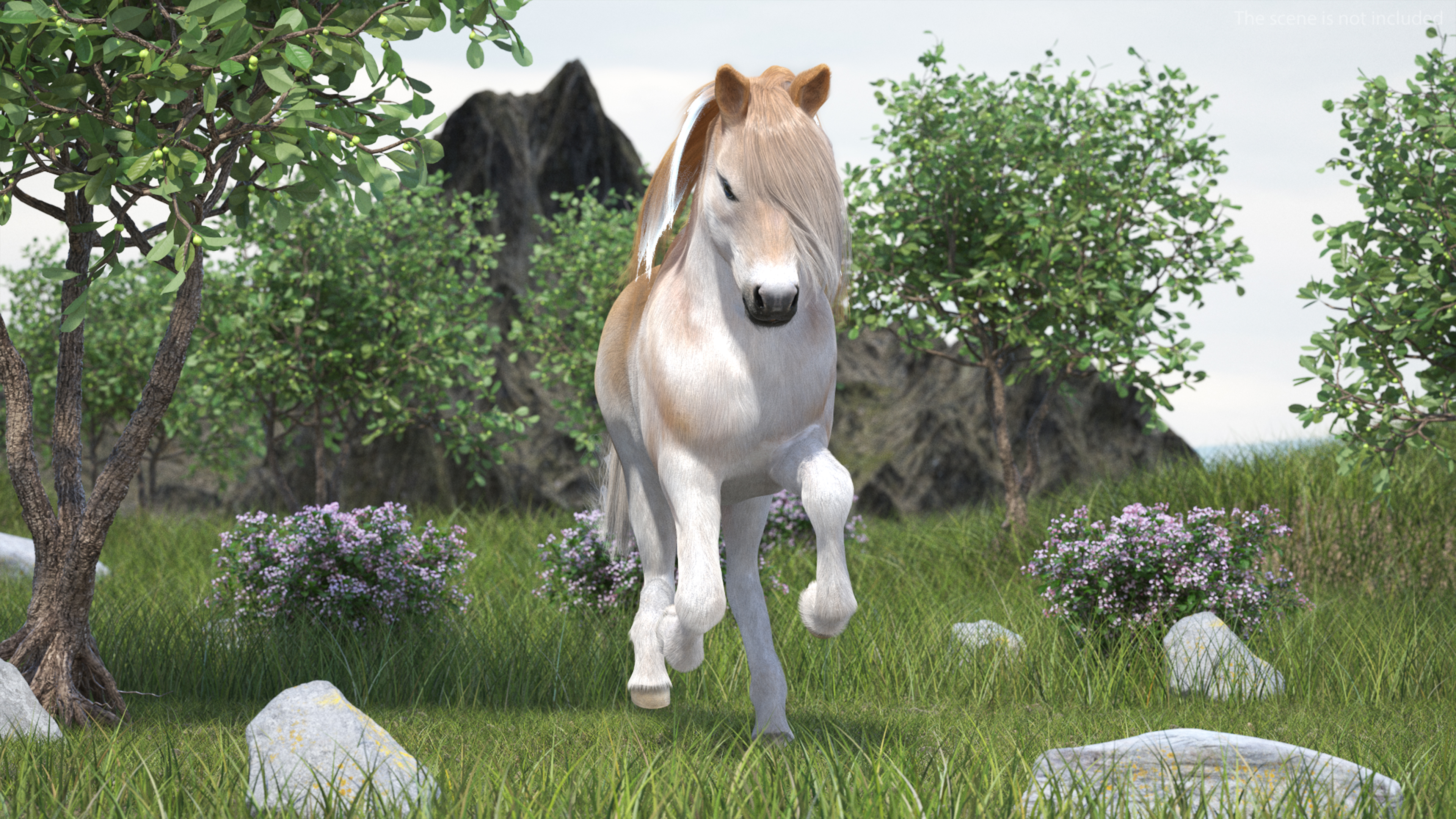 3D Galloping Pony with Long Mane Fur model