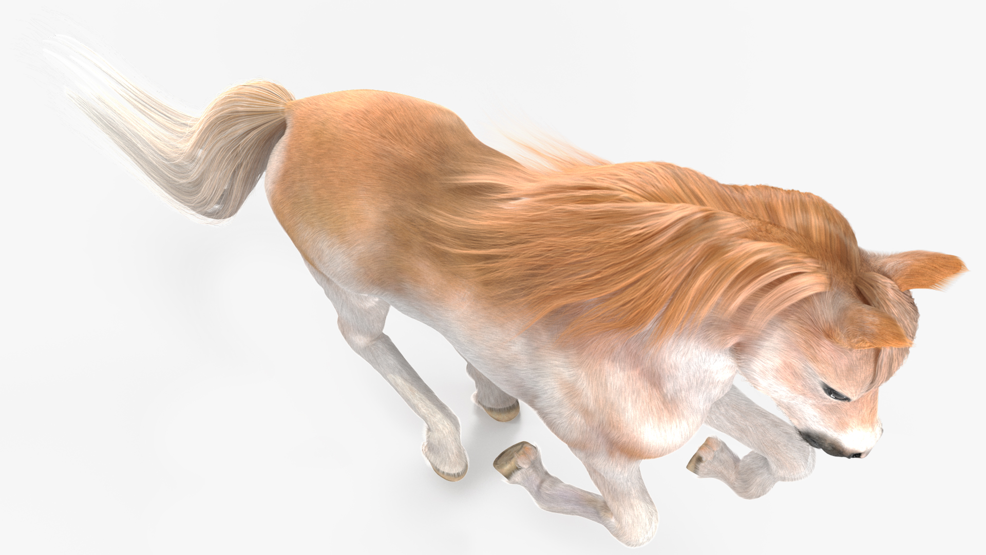 3D Galloping Pony with Long Mane Fur model