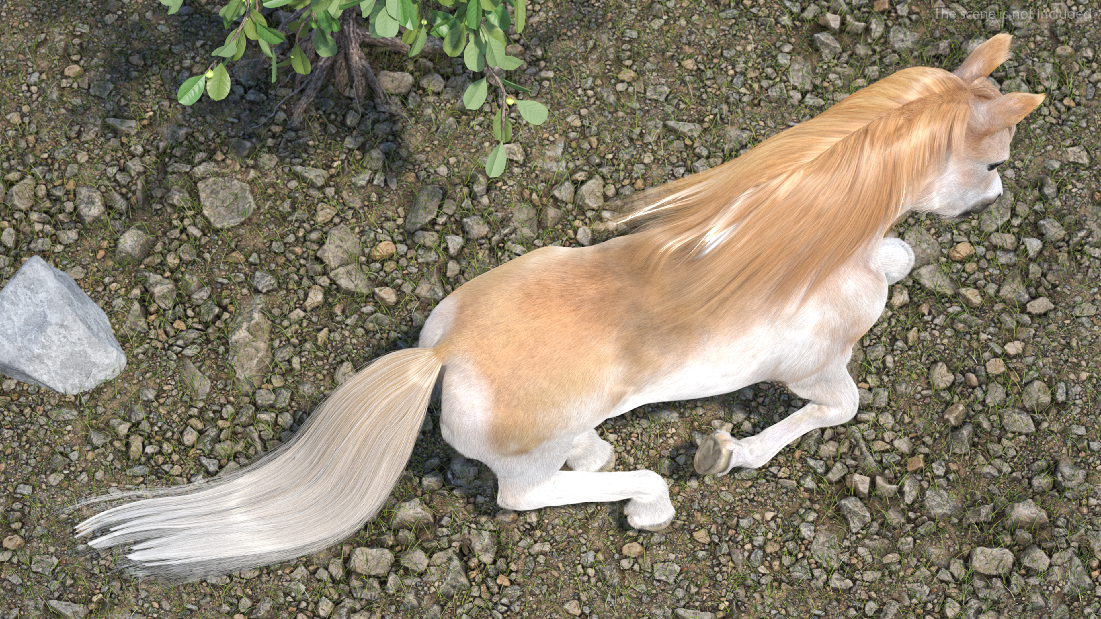 3D Galloping Pony with Long Mane Fur model