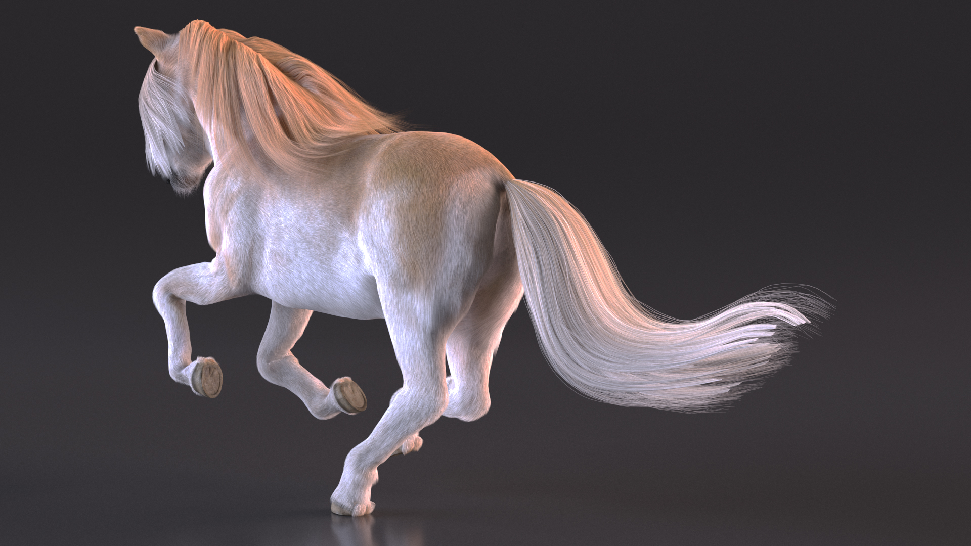 3D Galloping Pony with Long Mane Fur model