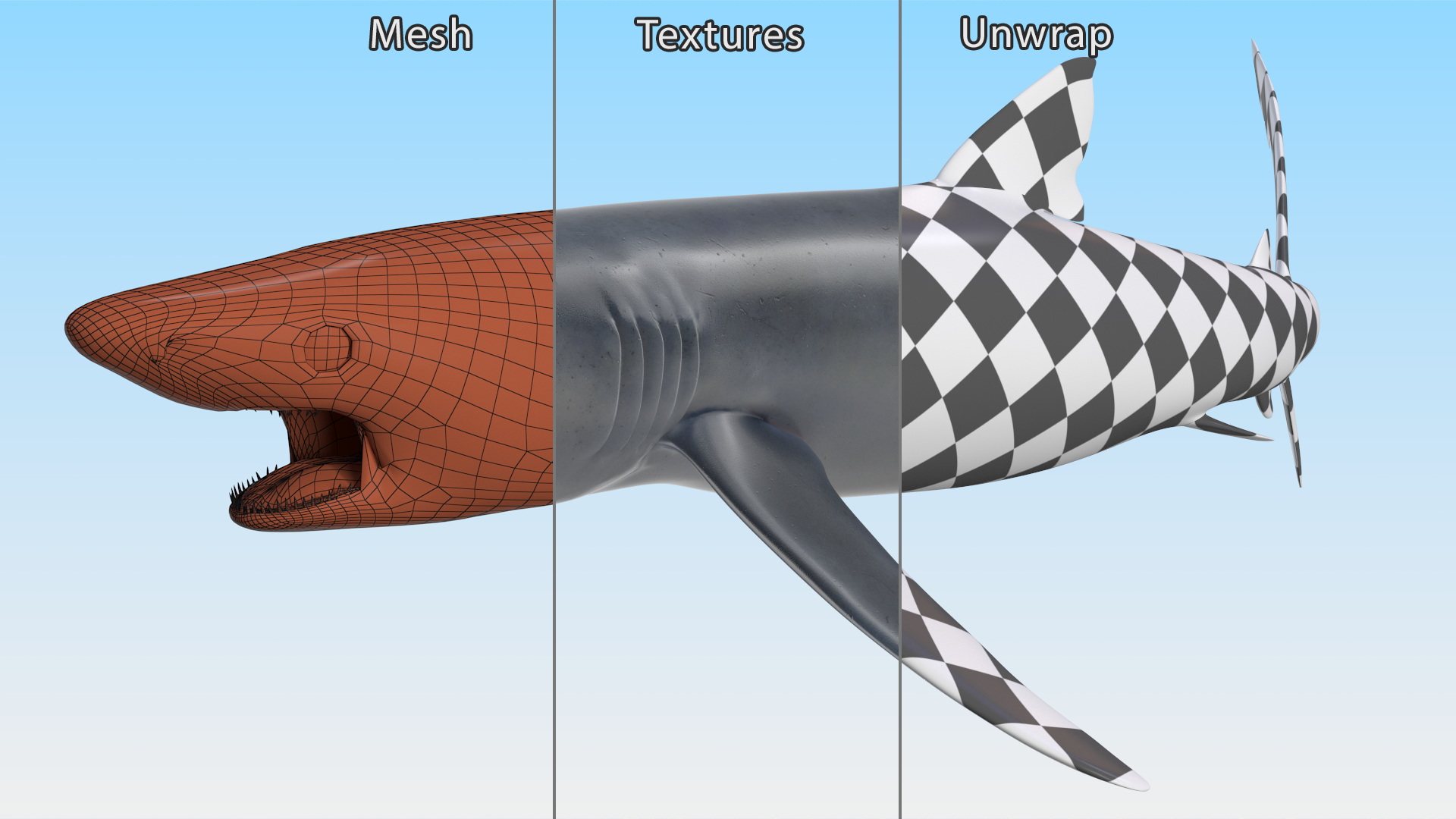 3D Great Blue Shark