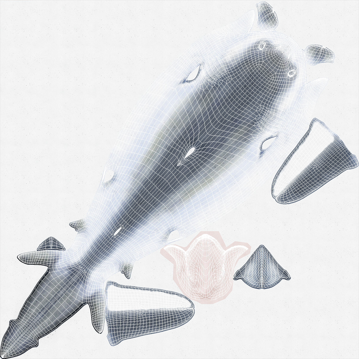 3D Great Blue Shark