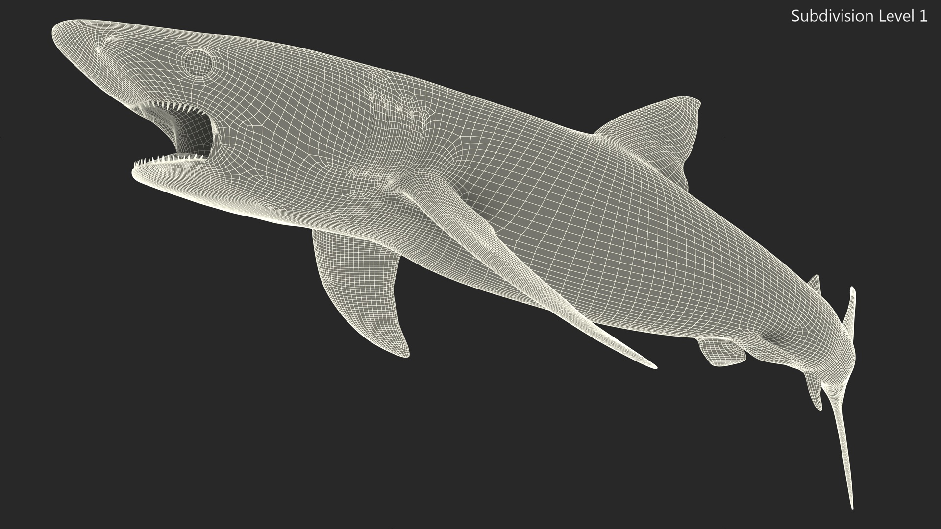 3D Great Blue Shark