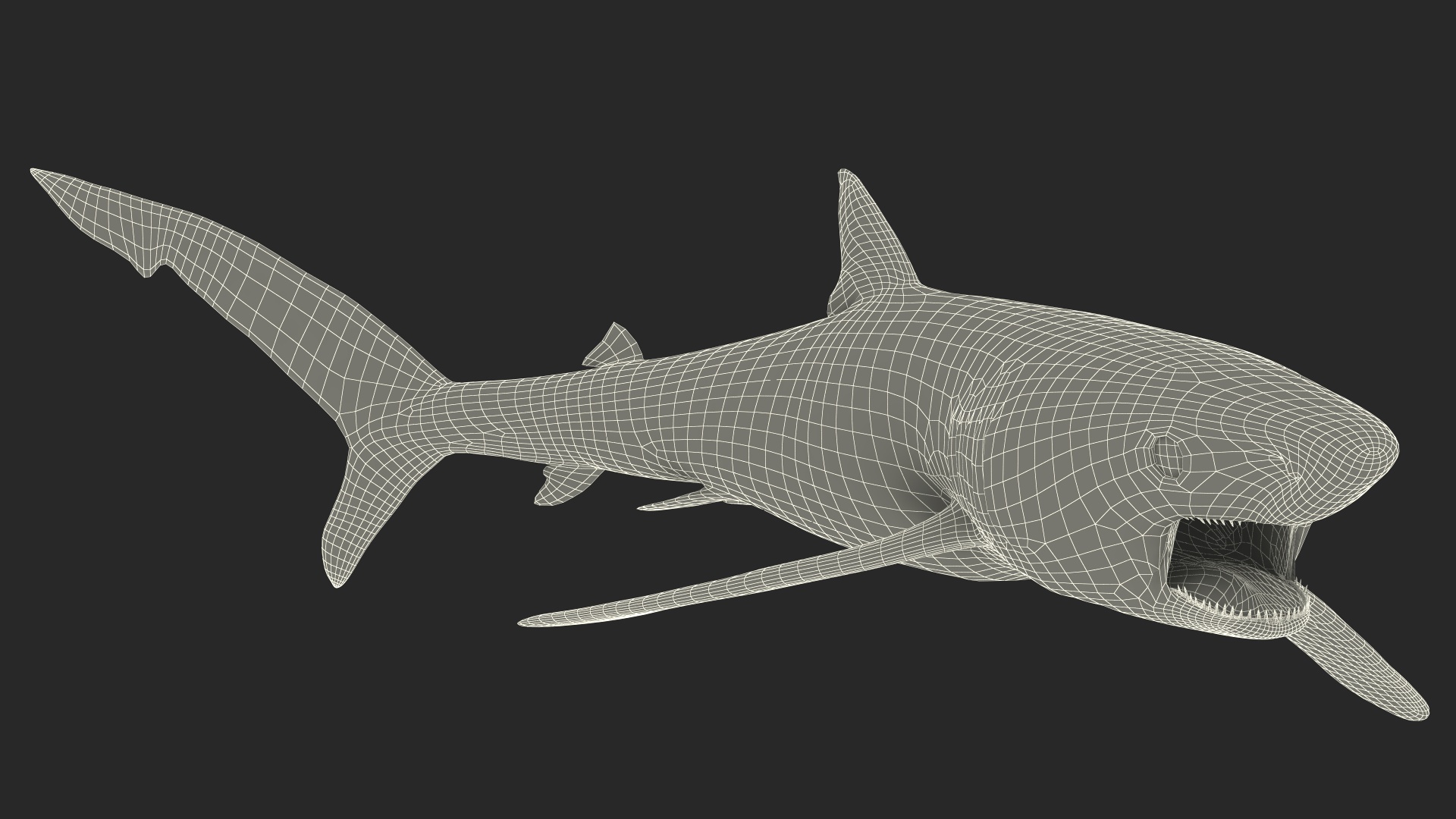 3D Great Blue Shark