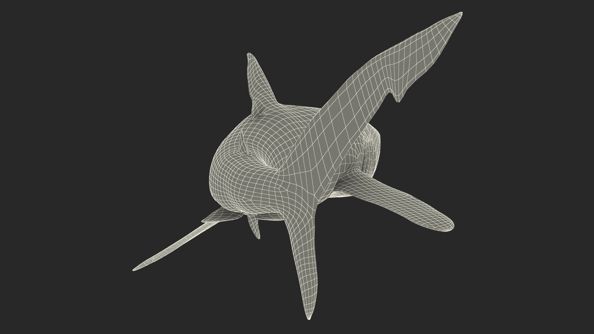 3D Great Blue Shark