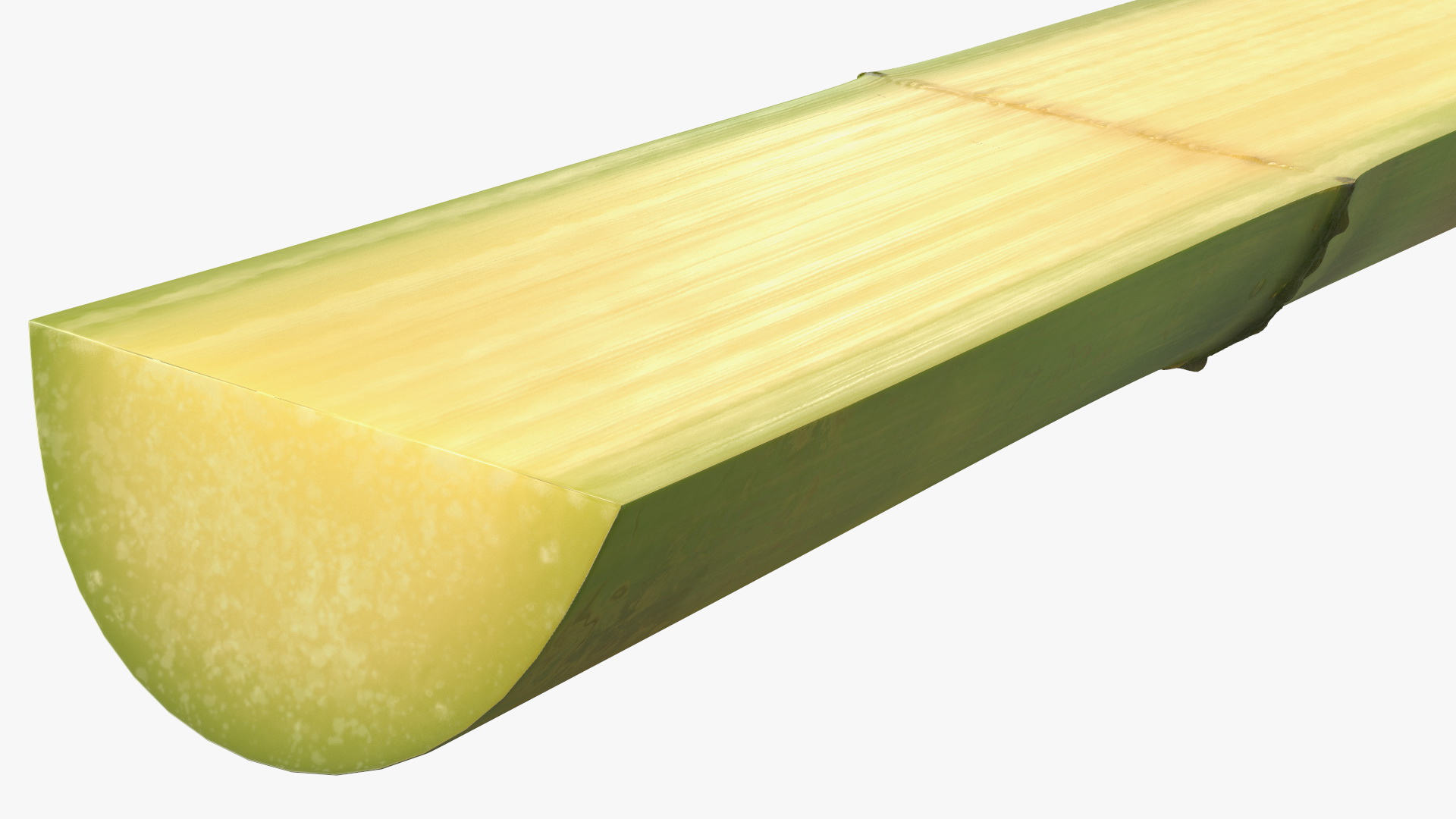 3D model Fresh Sugarcane Half Cut Piece