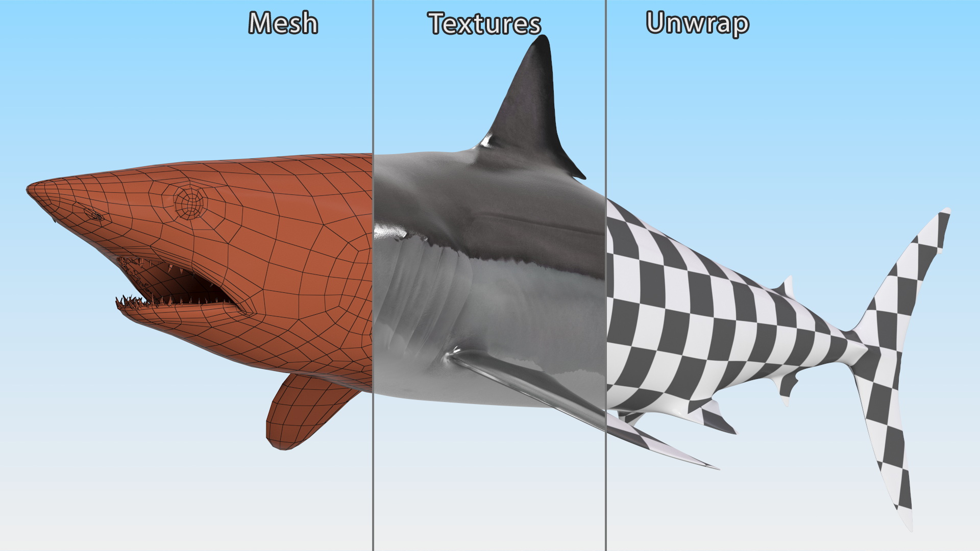 Realistic Shortfin Mako Shark 3D model