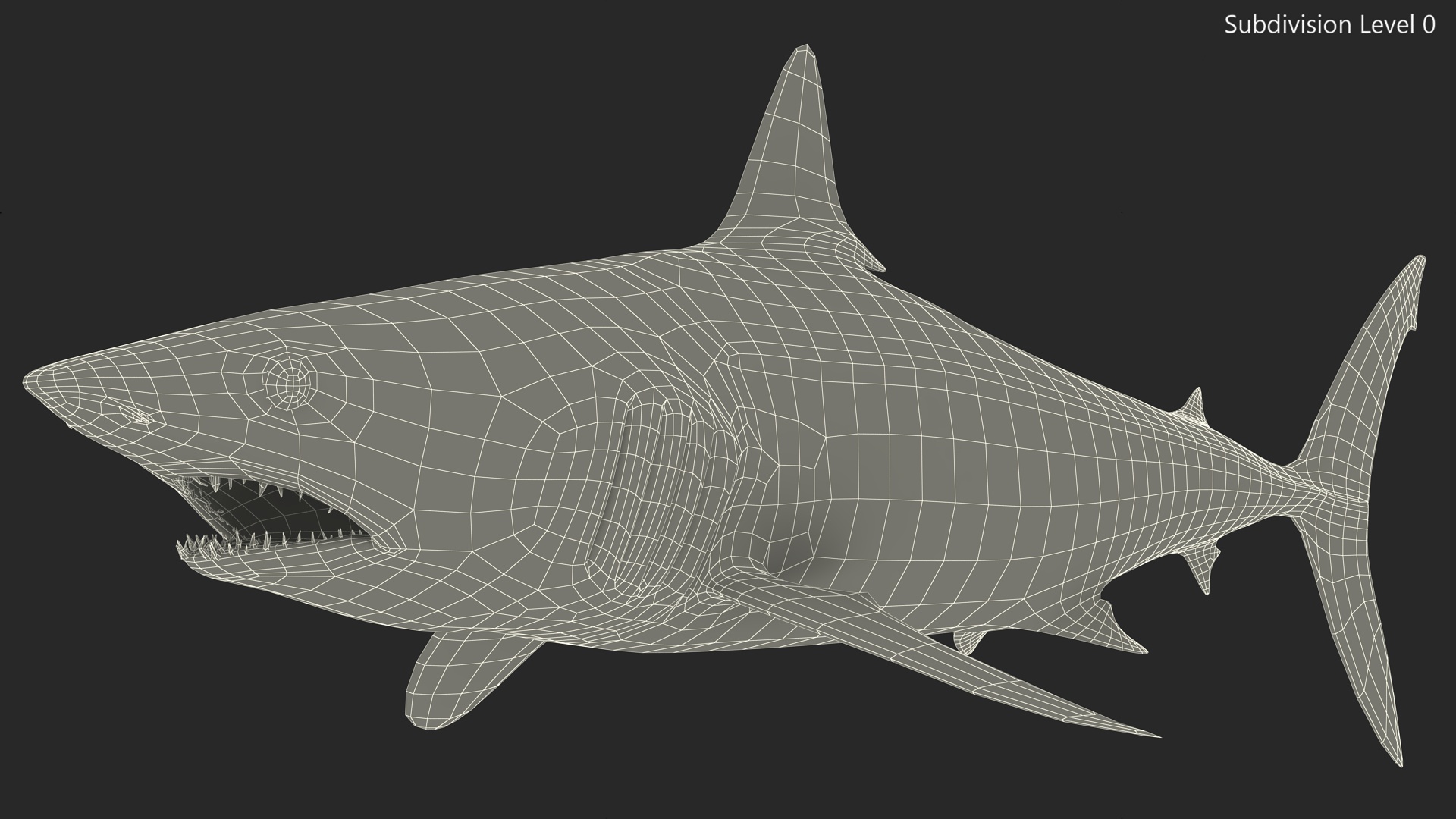 Realistic Shortfin Mako Shark 3D model