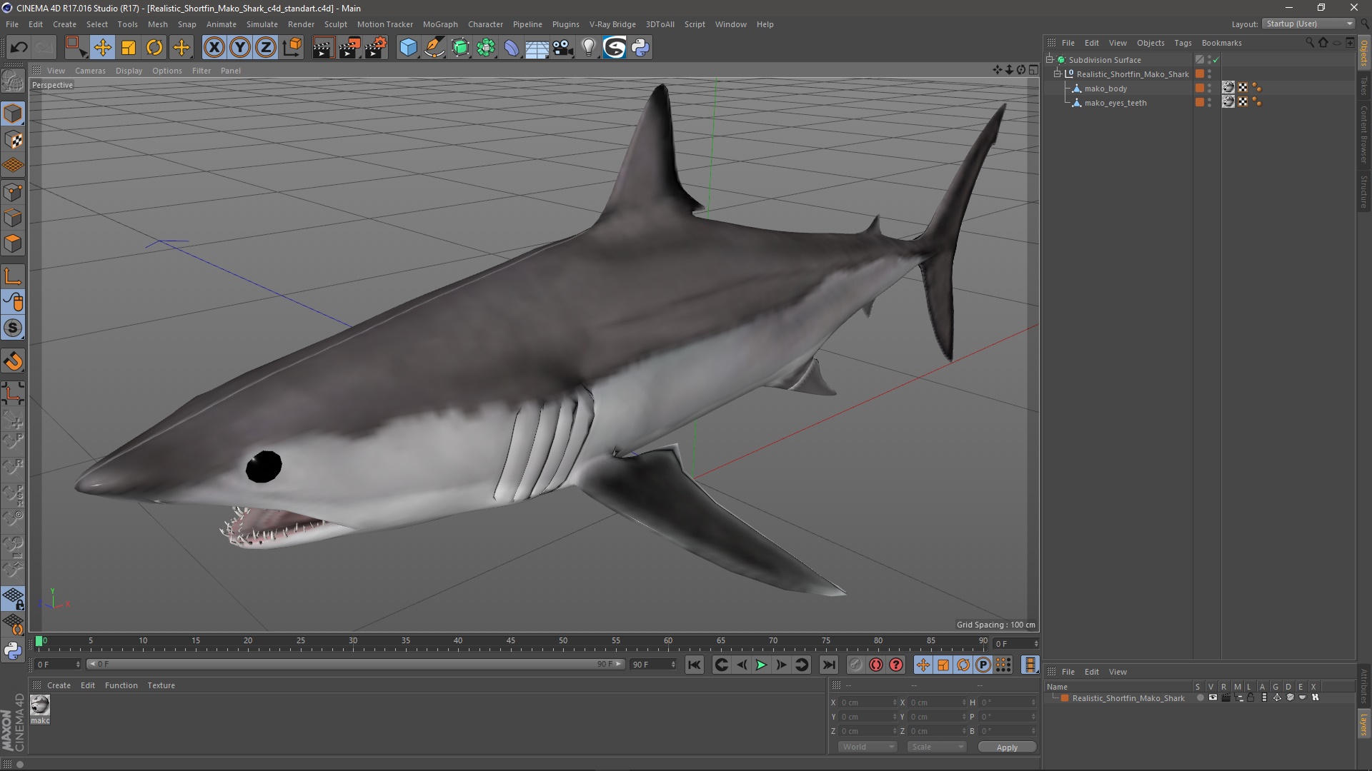 Realistic Shortfin Mako Shark 3D model