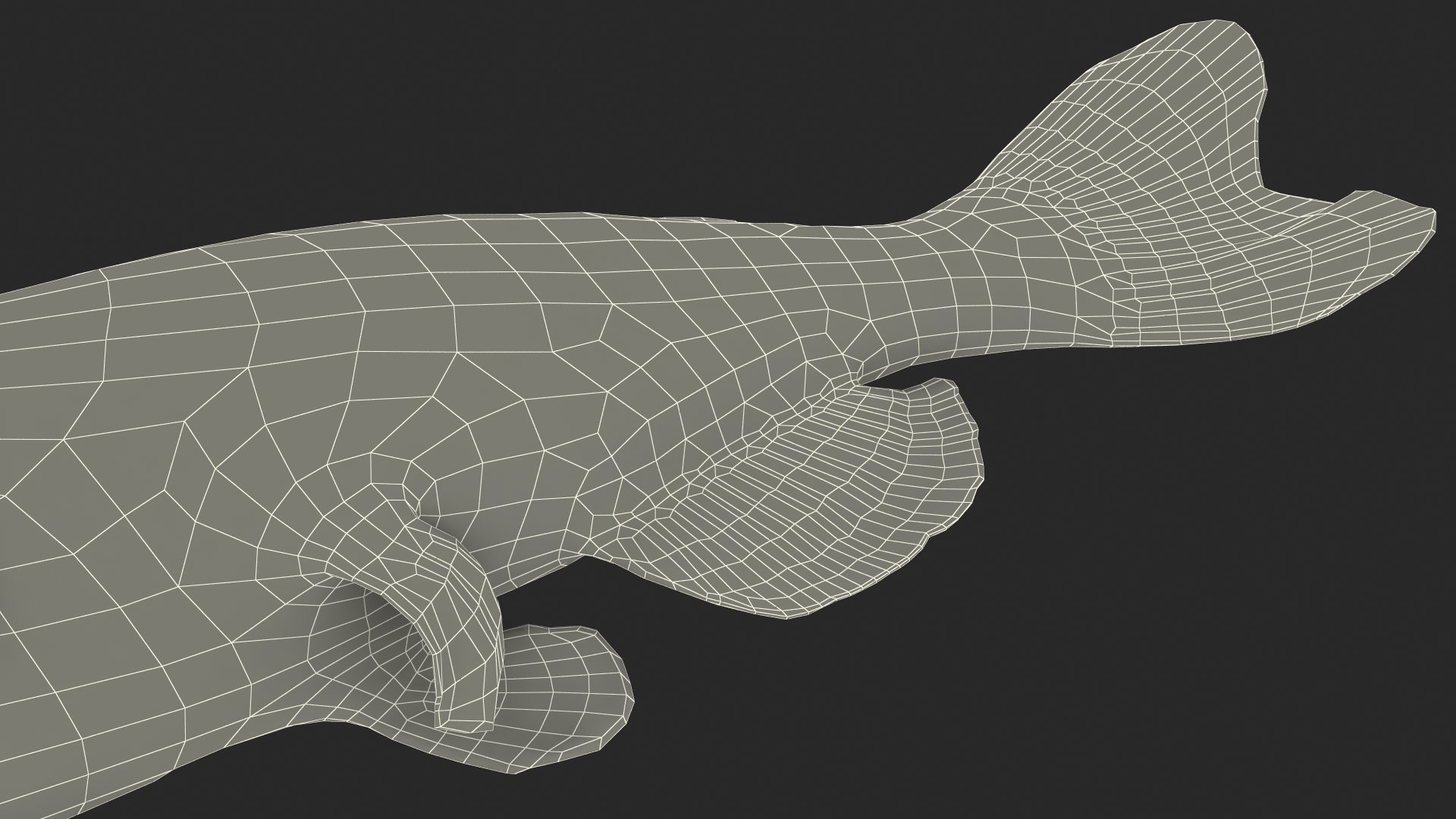 3D model Channel Catfish Laying on Side