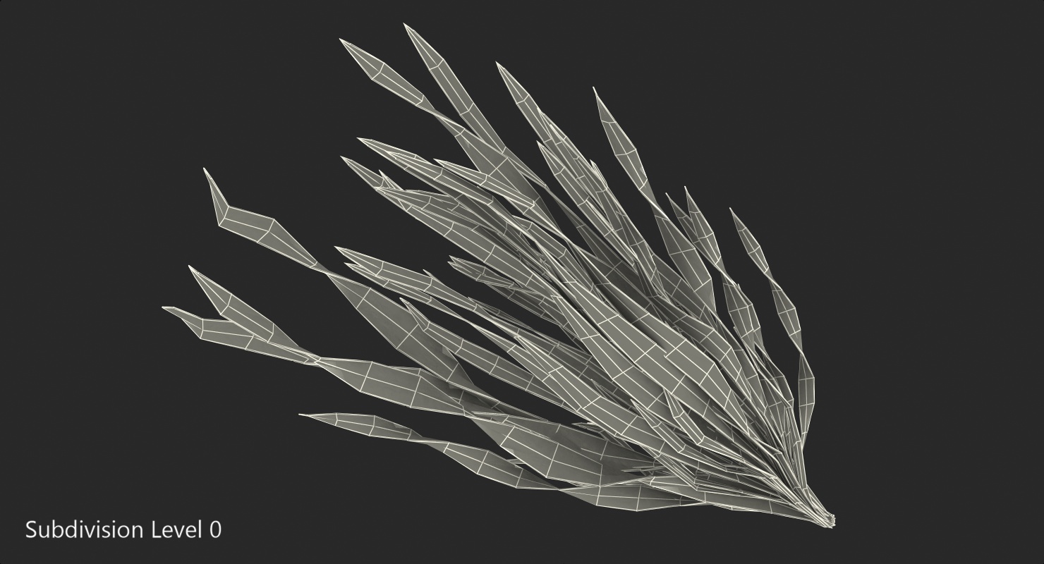 Tape Aquarium Grass 3D model