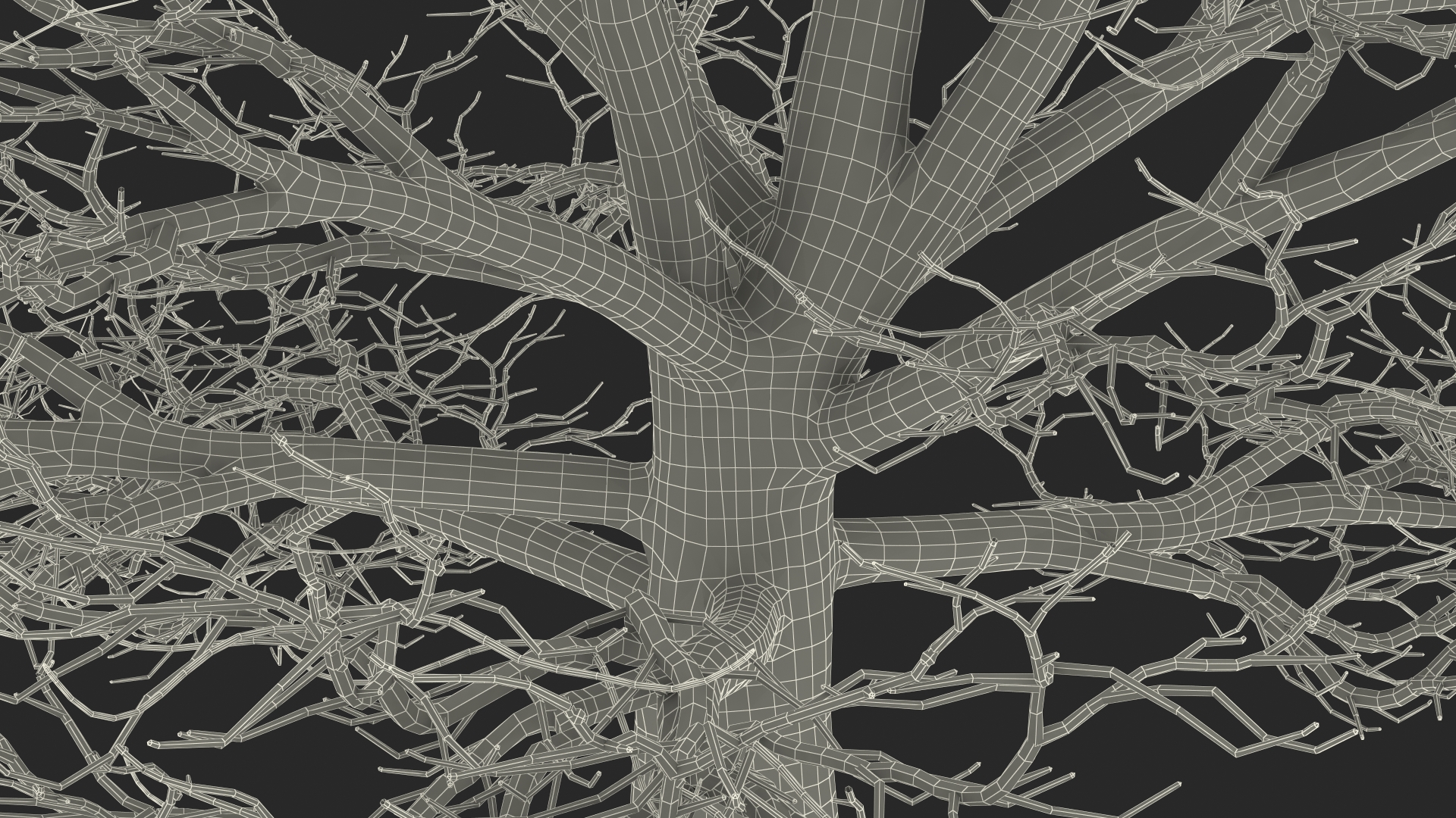 3D Cedar Lebanon Bark Tree model