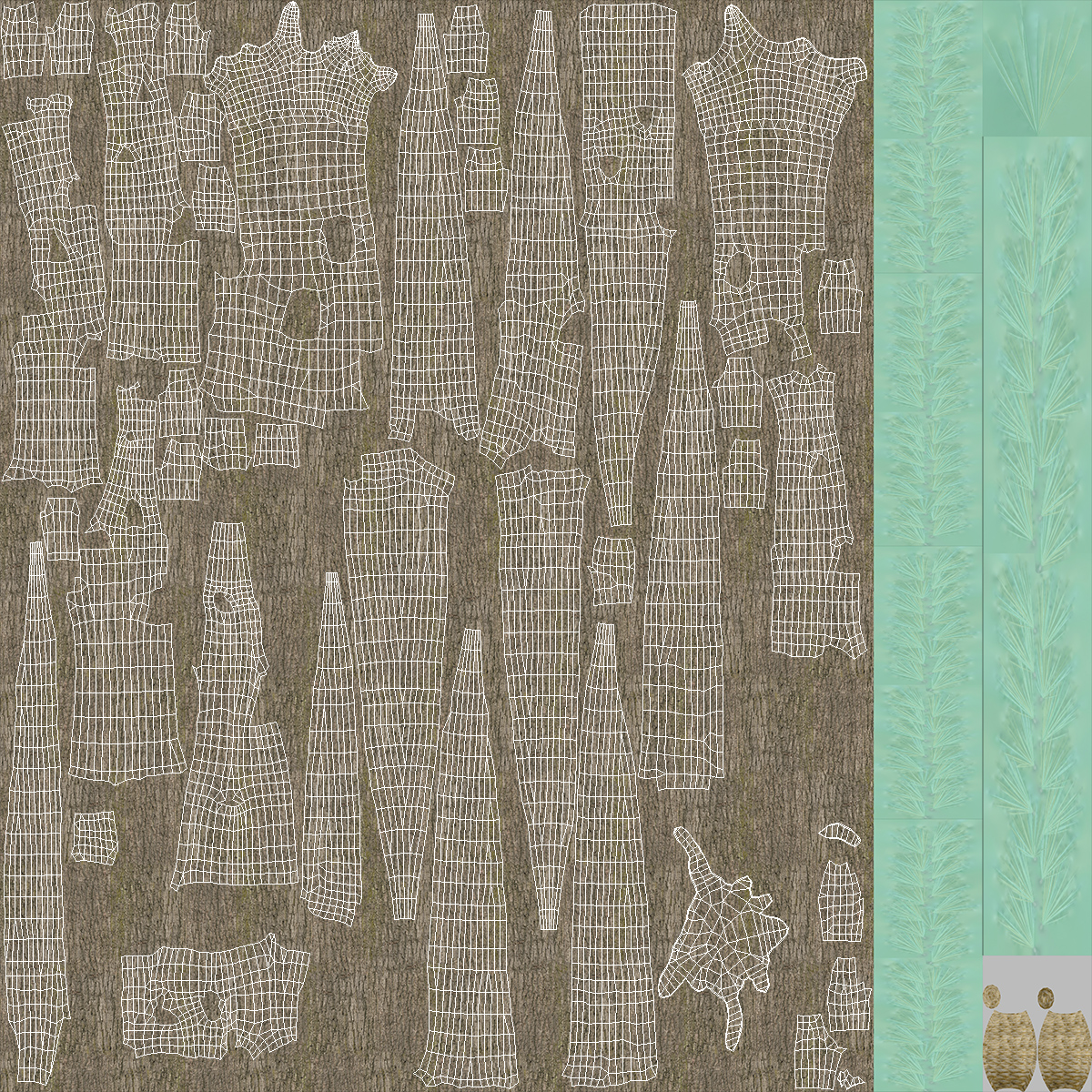 3D Cedar Lebanon Bark Tree model