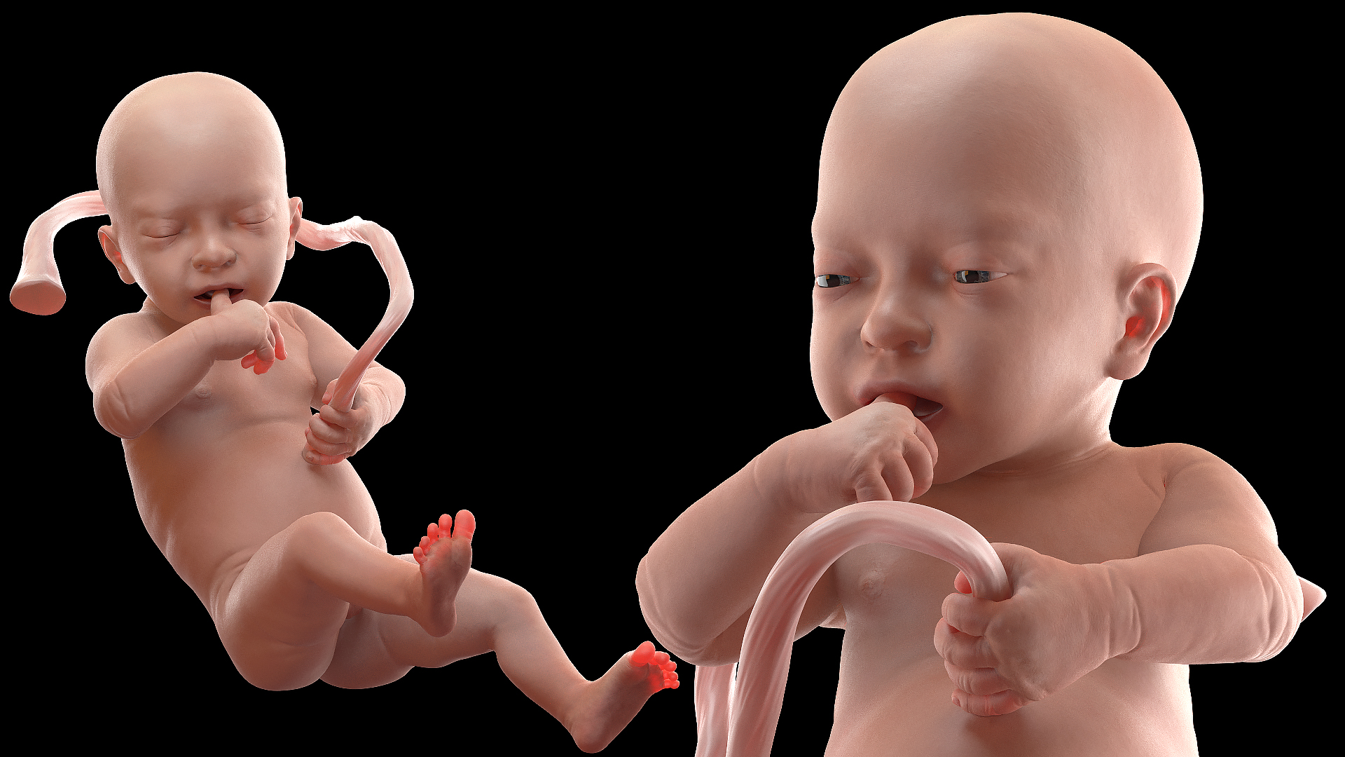 Baby Boy at 32 Weeks Rigged 3D