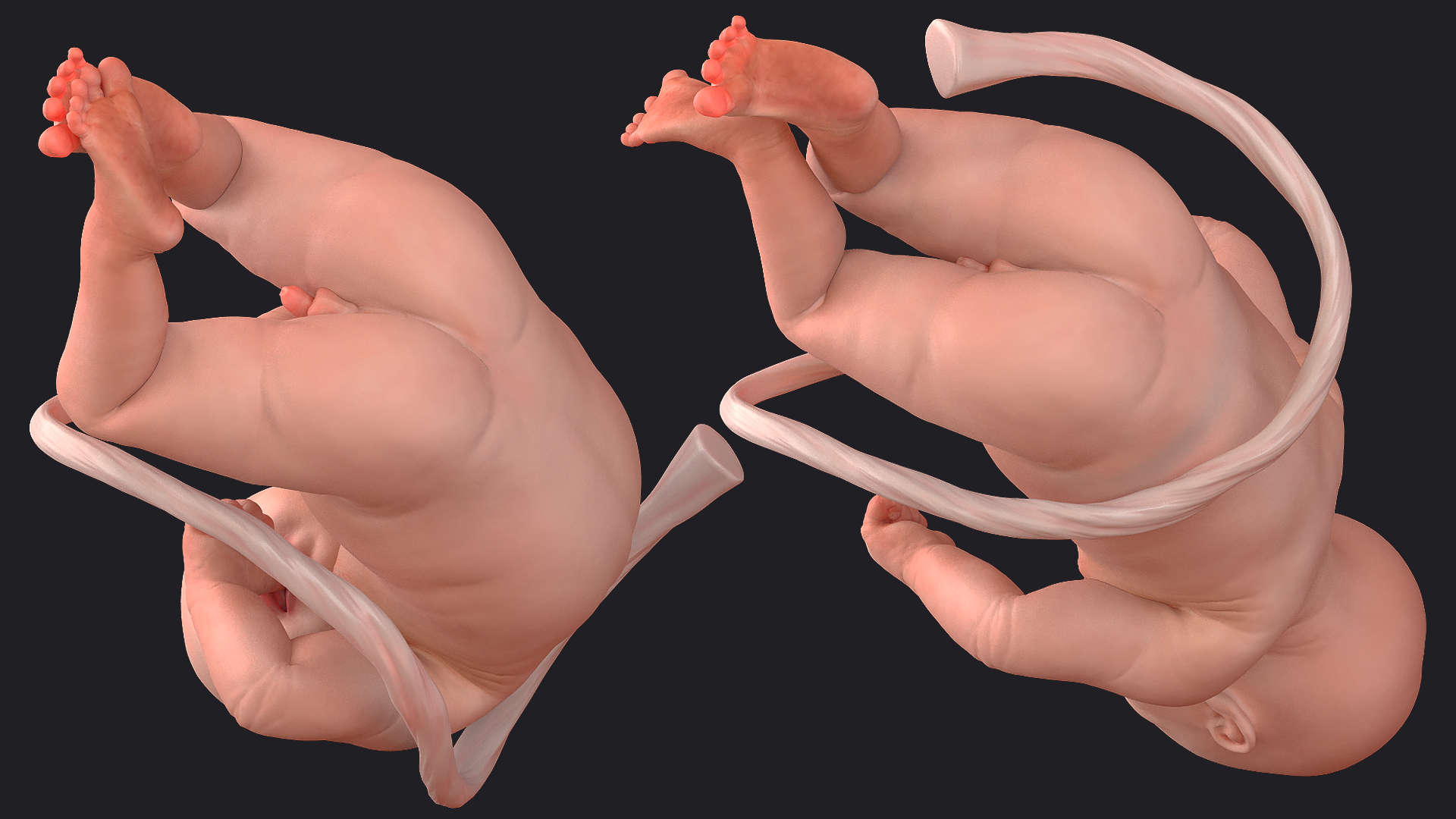 Baby Boy at 32 Weeks Rigged 3D