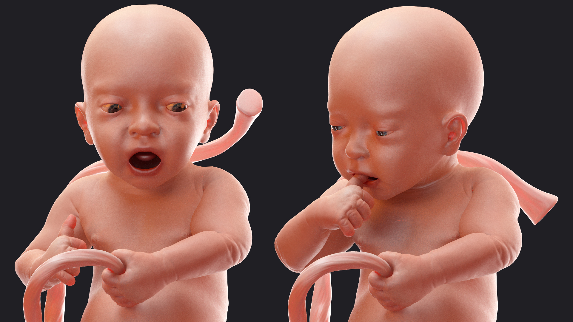 Baby Boy at 32 Weeks Rigged 3D