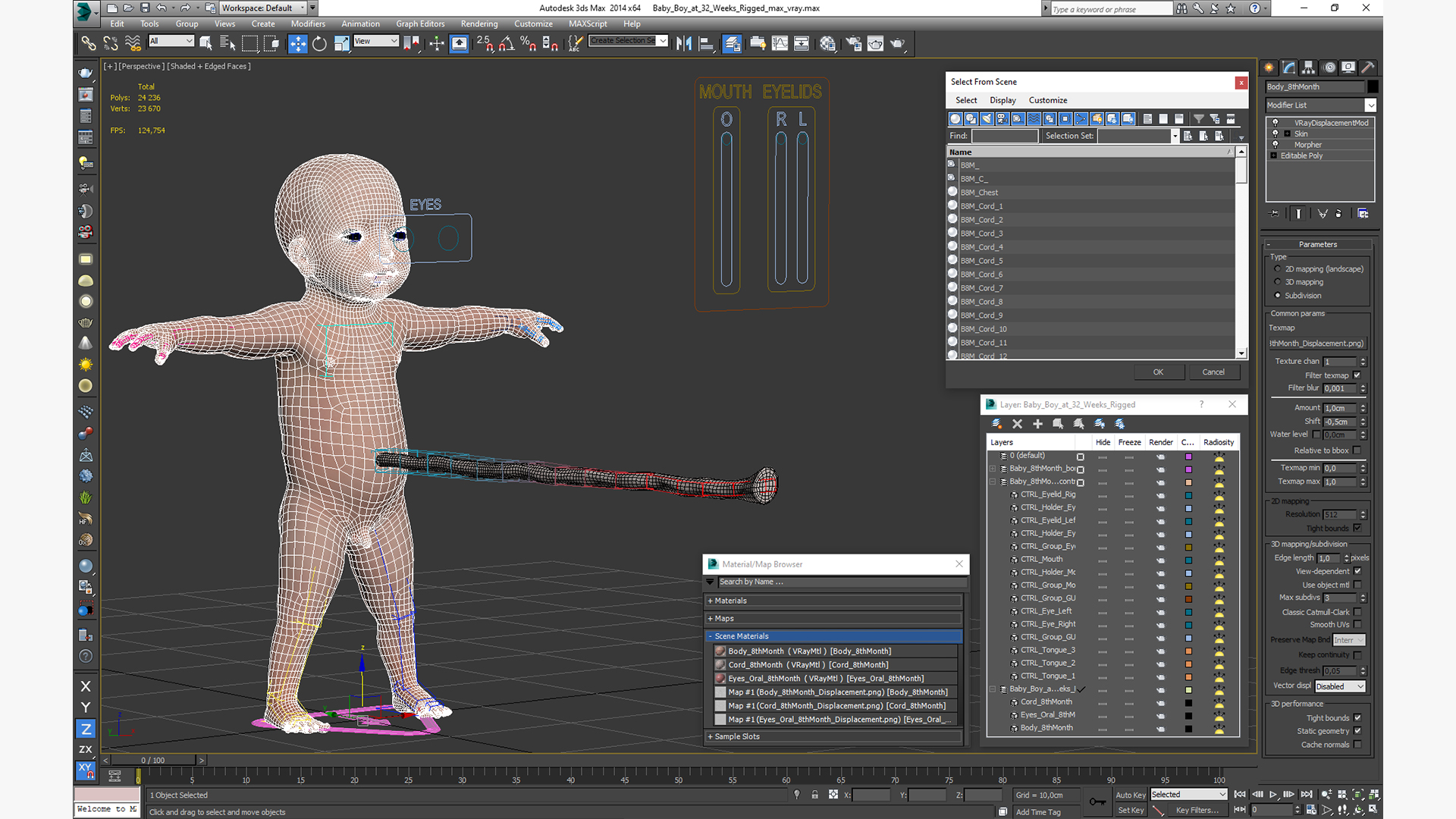Baby Boy at 32 Weeks Rigged 3D