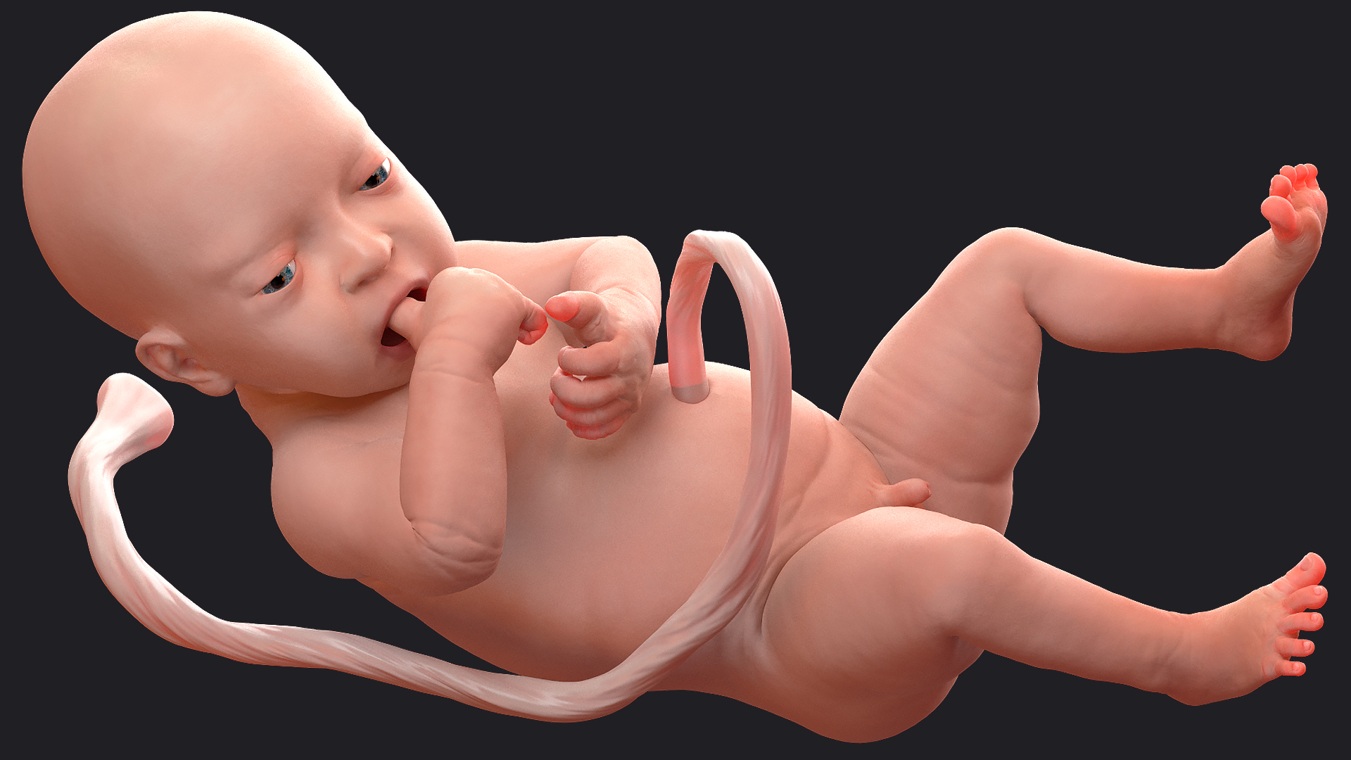 Baby Boy at 32 Weeks Rigged 3D