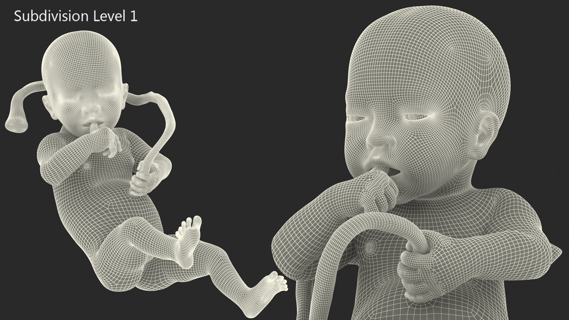 Baby Boy at 32 Weeks Rigged 3D